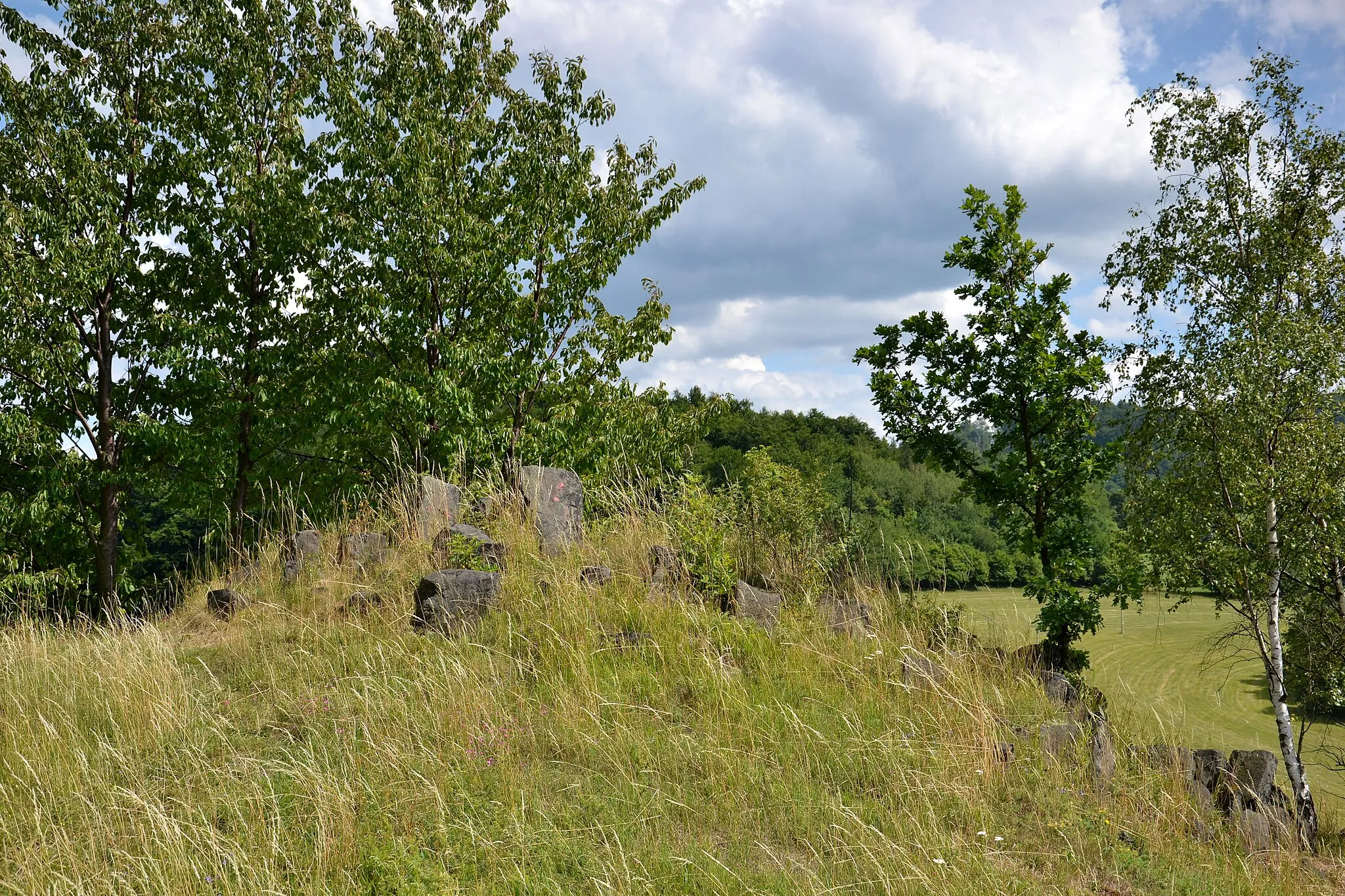 Photo showing: Pastviště u Okounova – vrchol Holého kopce