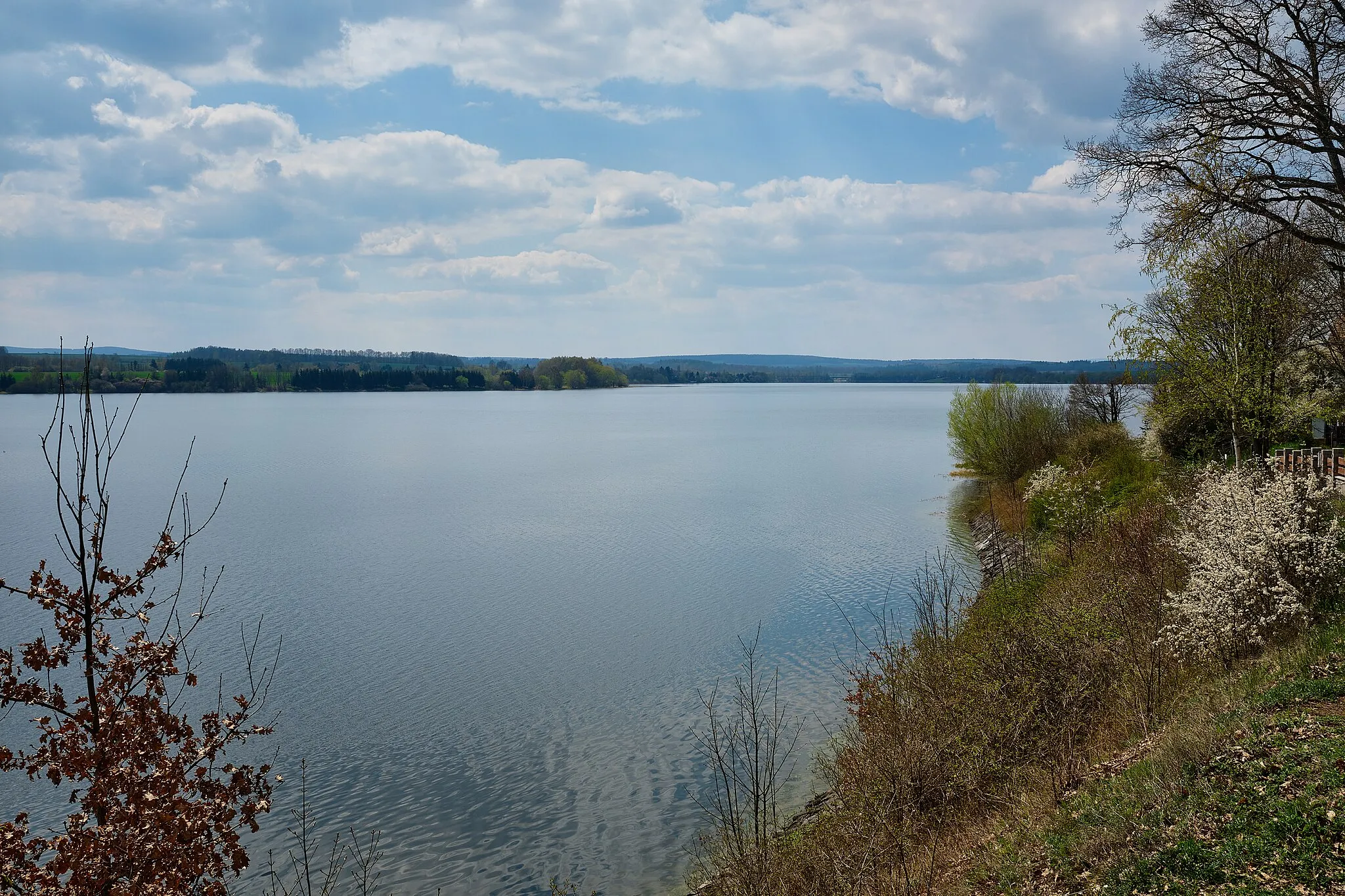 Photo showing: Přehradní jezero Jesenice, pohled od Dřenice, okres Cheb