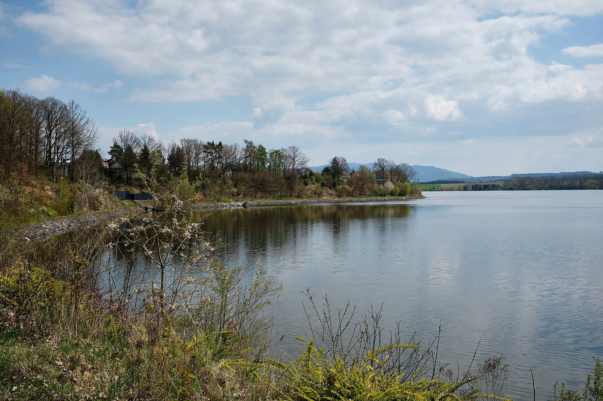 Photo showing: Přehradní jezero Jesenice, pohled od Dřenice, okres Cheb