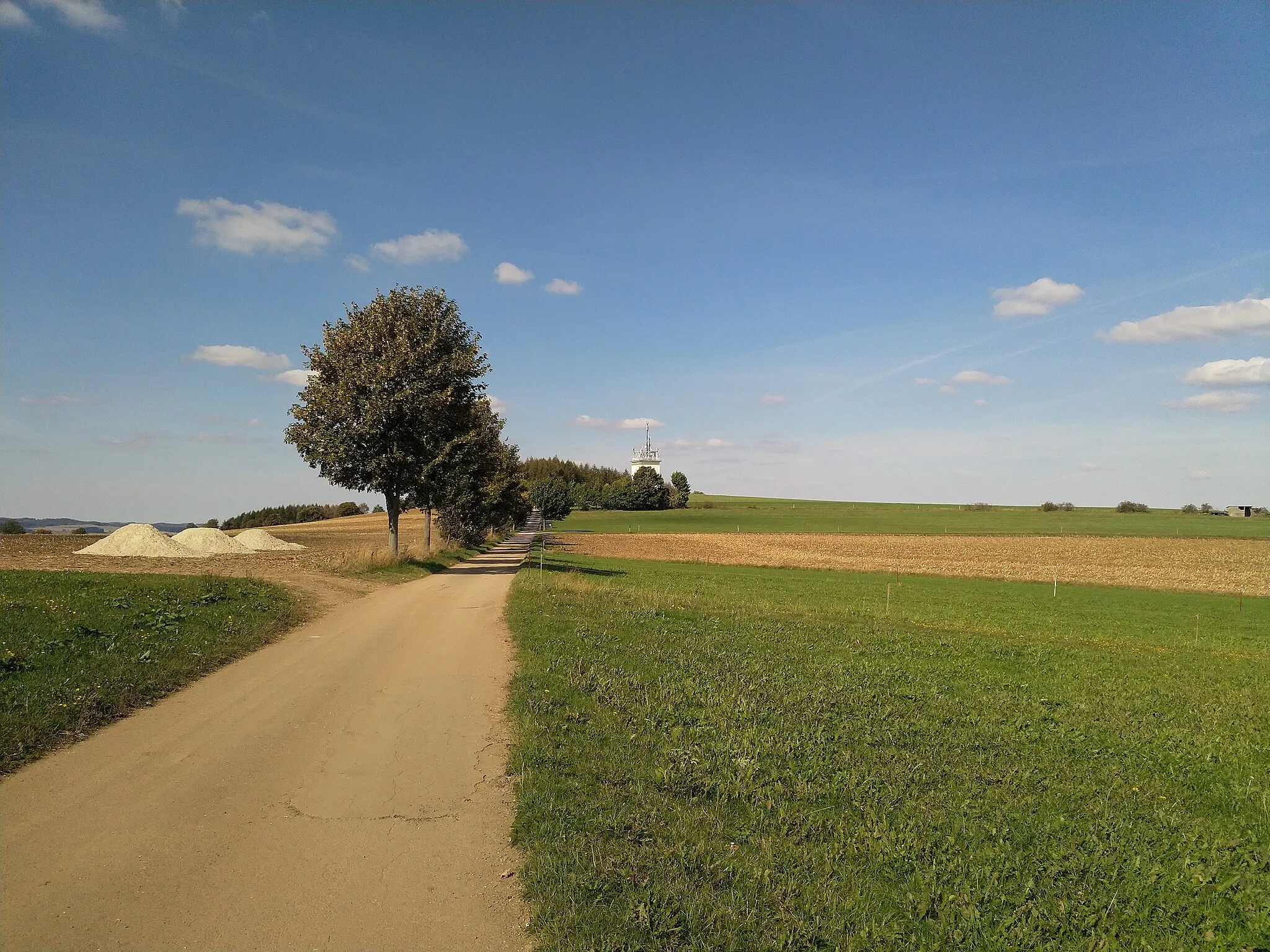 Photo showing: Pilzhübel, a hill near Krumhermersdorf in the municipality of Zschopau, Saxony, Germany.