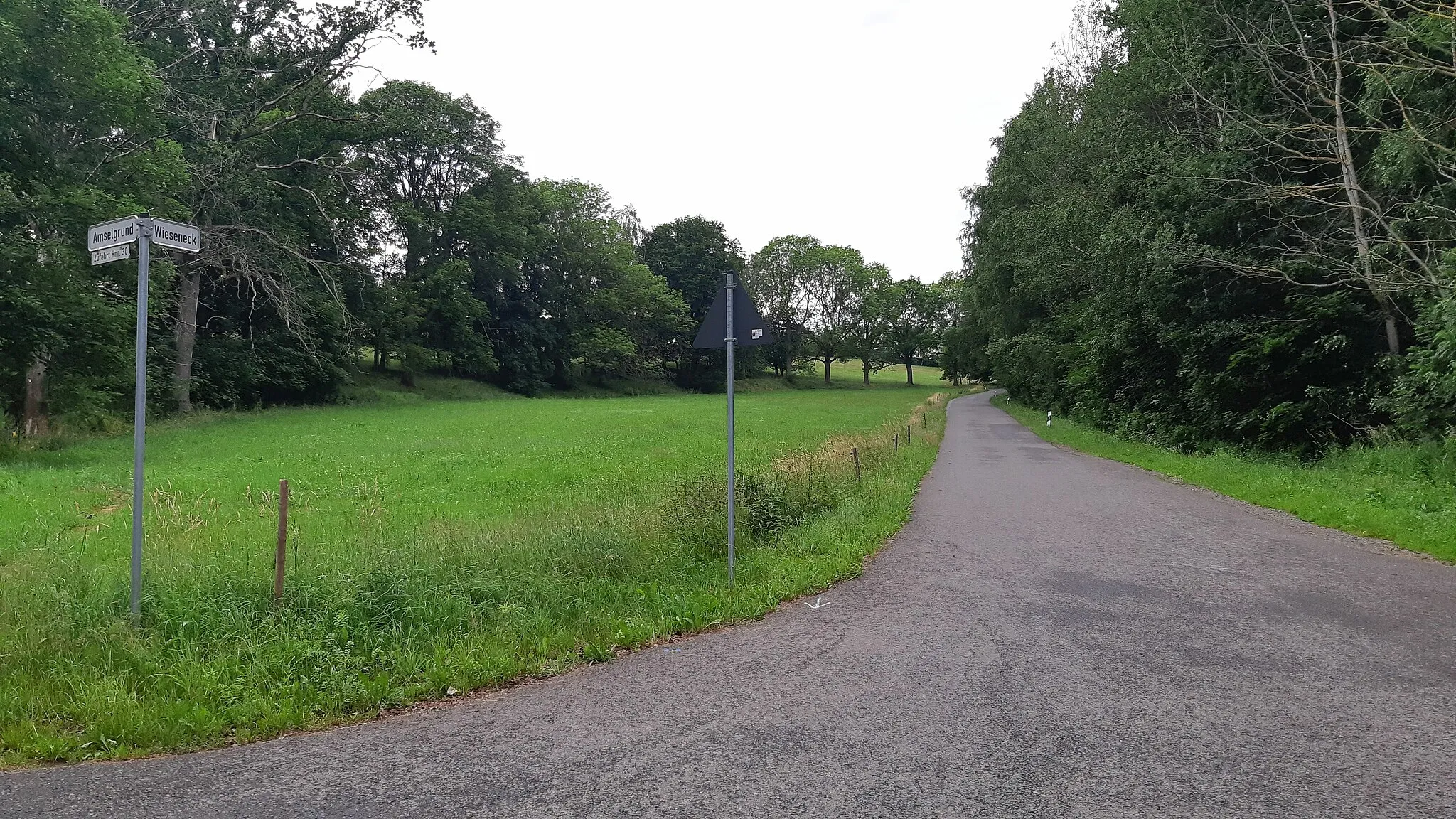 Photo showing: Wieseneck in Chemnitz-Altenhain, Blick vom Amselgrund Richtung Kleinolbersdorf