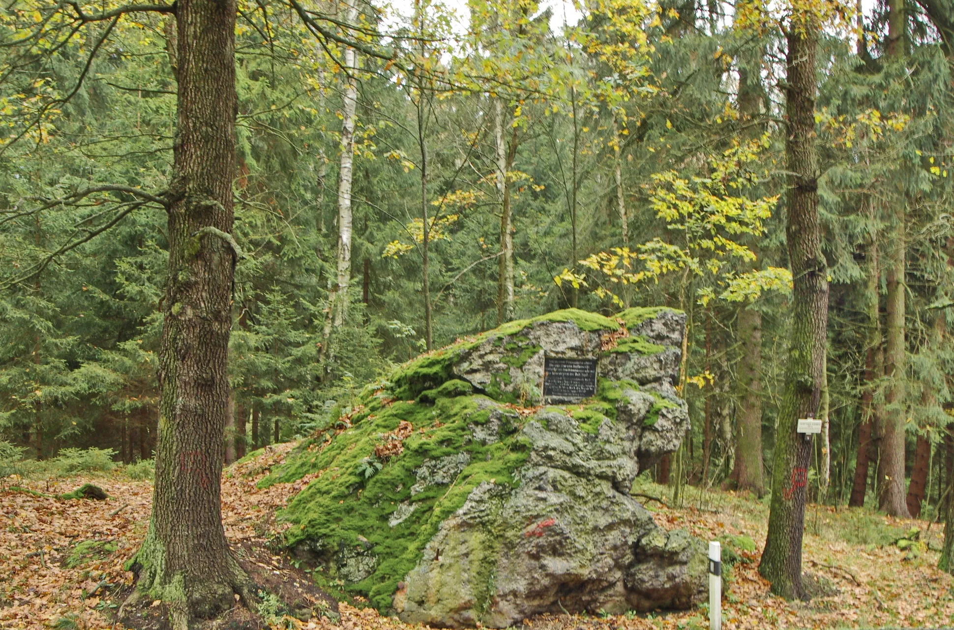 Photo showing: Goethův kámen, při silnici z Hazlova do Aše, okres Cheb