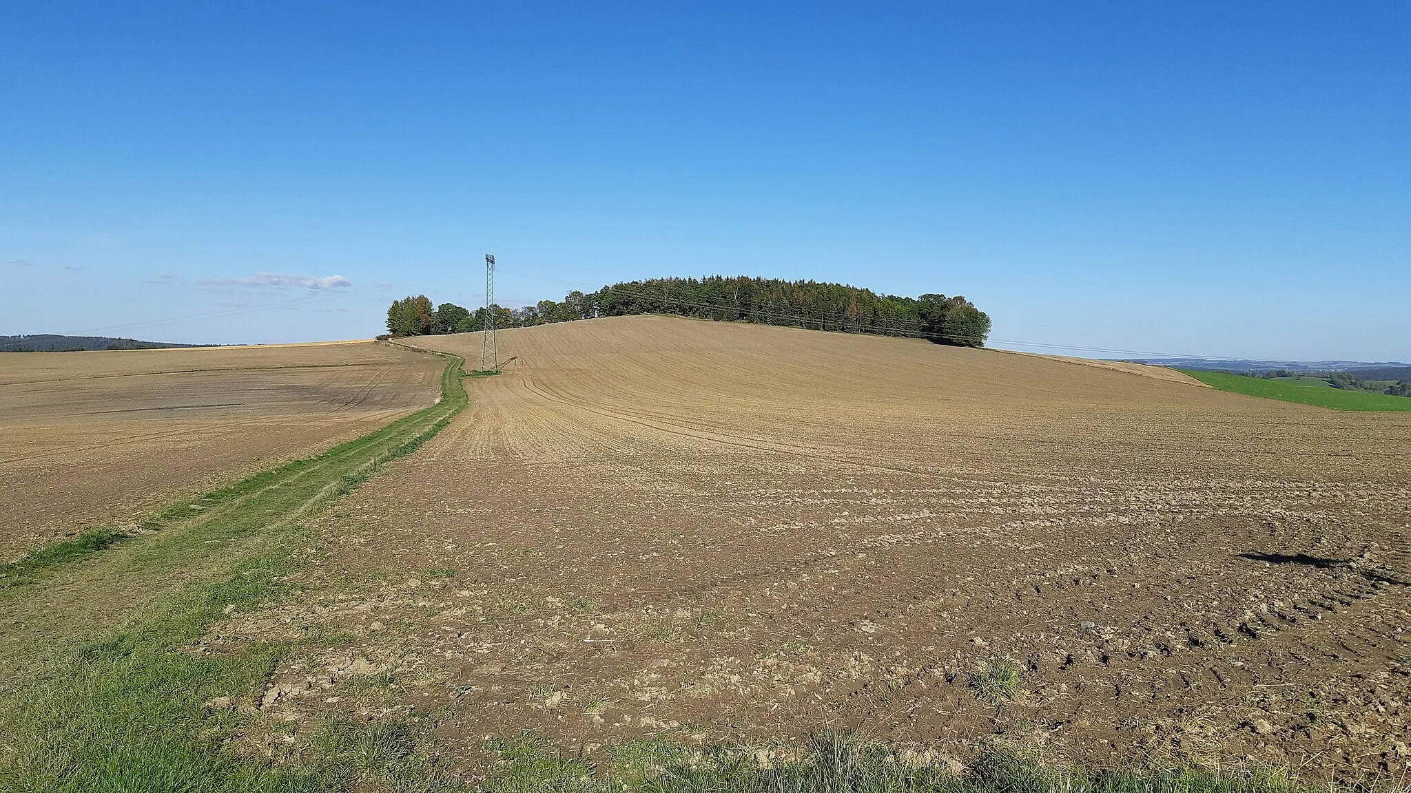 Photo showing: Blick aus südwestlicher Sicht auf den Spitzberg südlich von Chemnitz-Altenhain