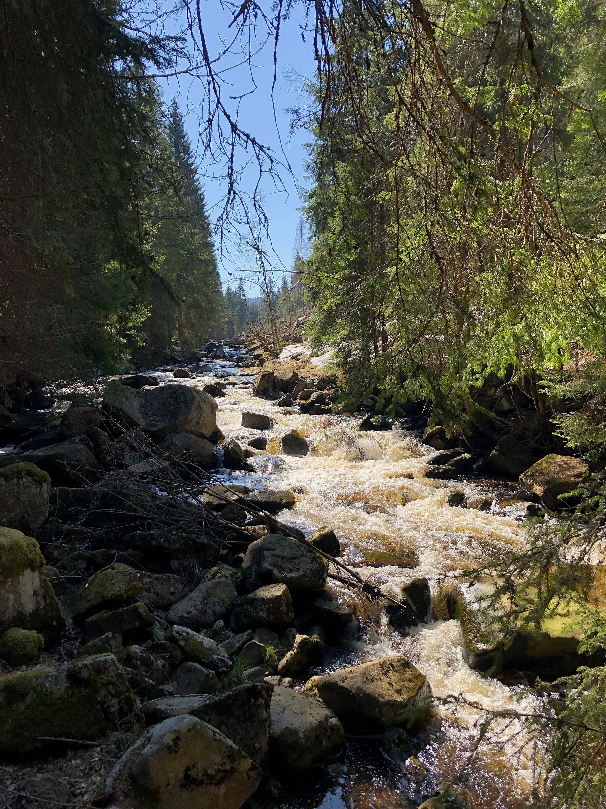 Photo showing: Černá (Schwarzwasser) zwichen Pila und Luhy