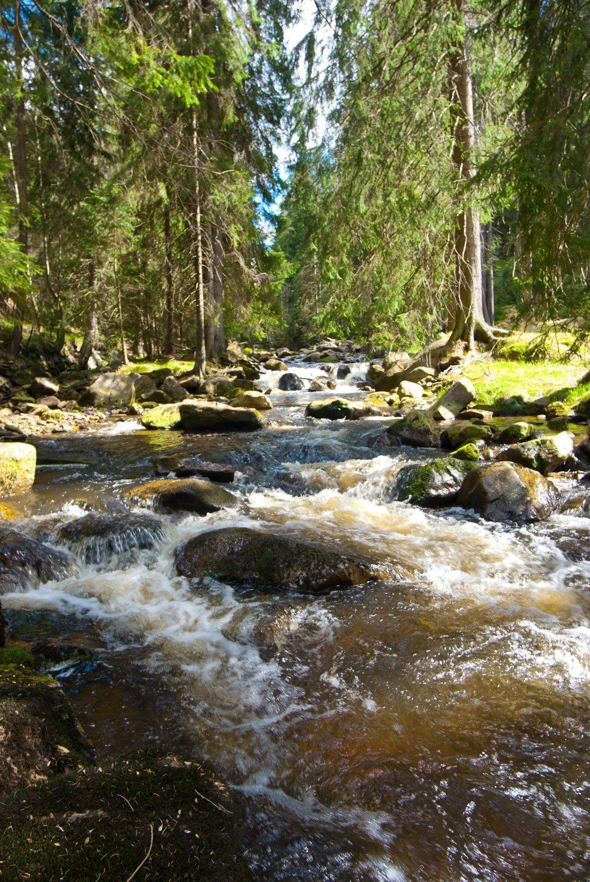 Photo showing: říčka Černá, Krušné hory, mezi bývalými osadami Luhy (Jungenhengst) a Pilou (Brettmühl) mezi Rýžovnou a Potůčky