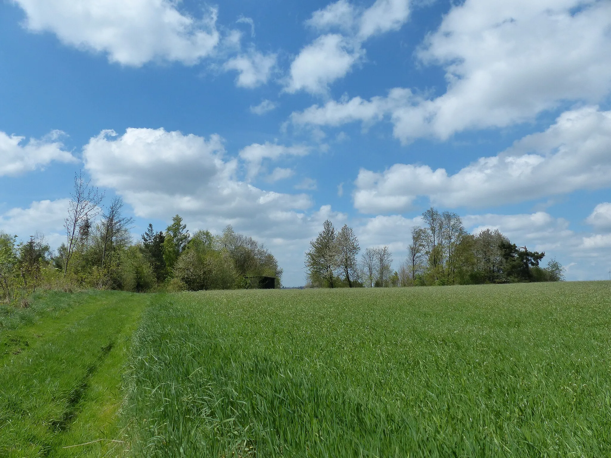 Photo showing: Geotop 475A023, ehemaliger Steinbruch bei Osseck am Wald