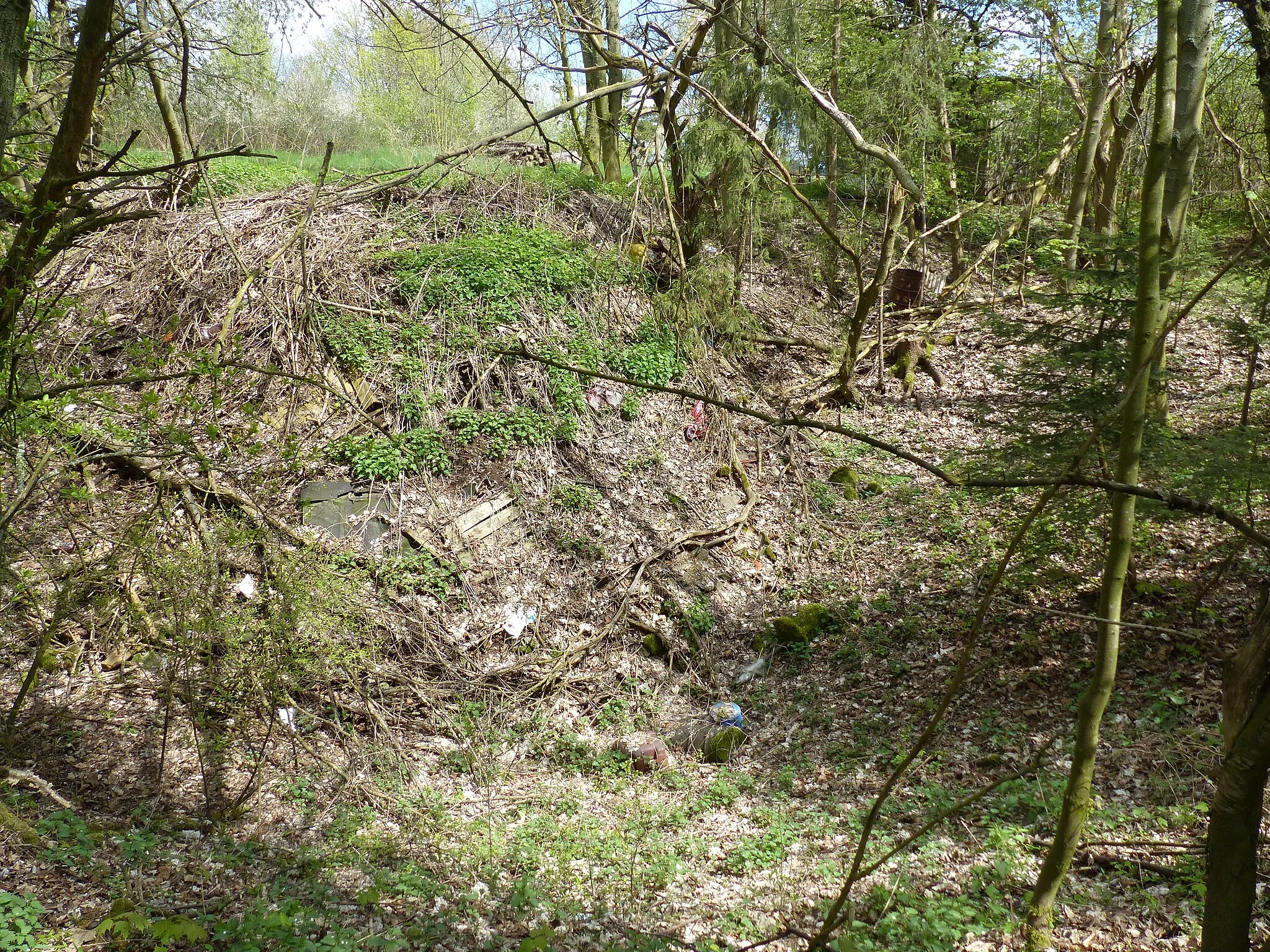 Photo showing: Geotop 475A023, ehemaliger Steinbruch bei Osseck am Wald