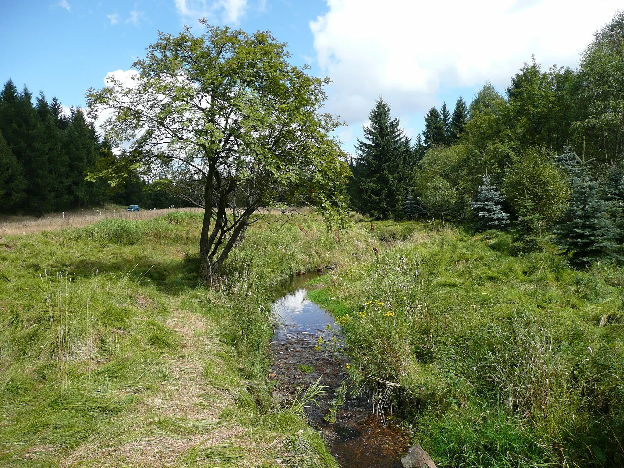 Photo showing: This image shows the river Schwinitz, a left tributary of the Flöha, near Deutschneudorf.