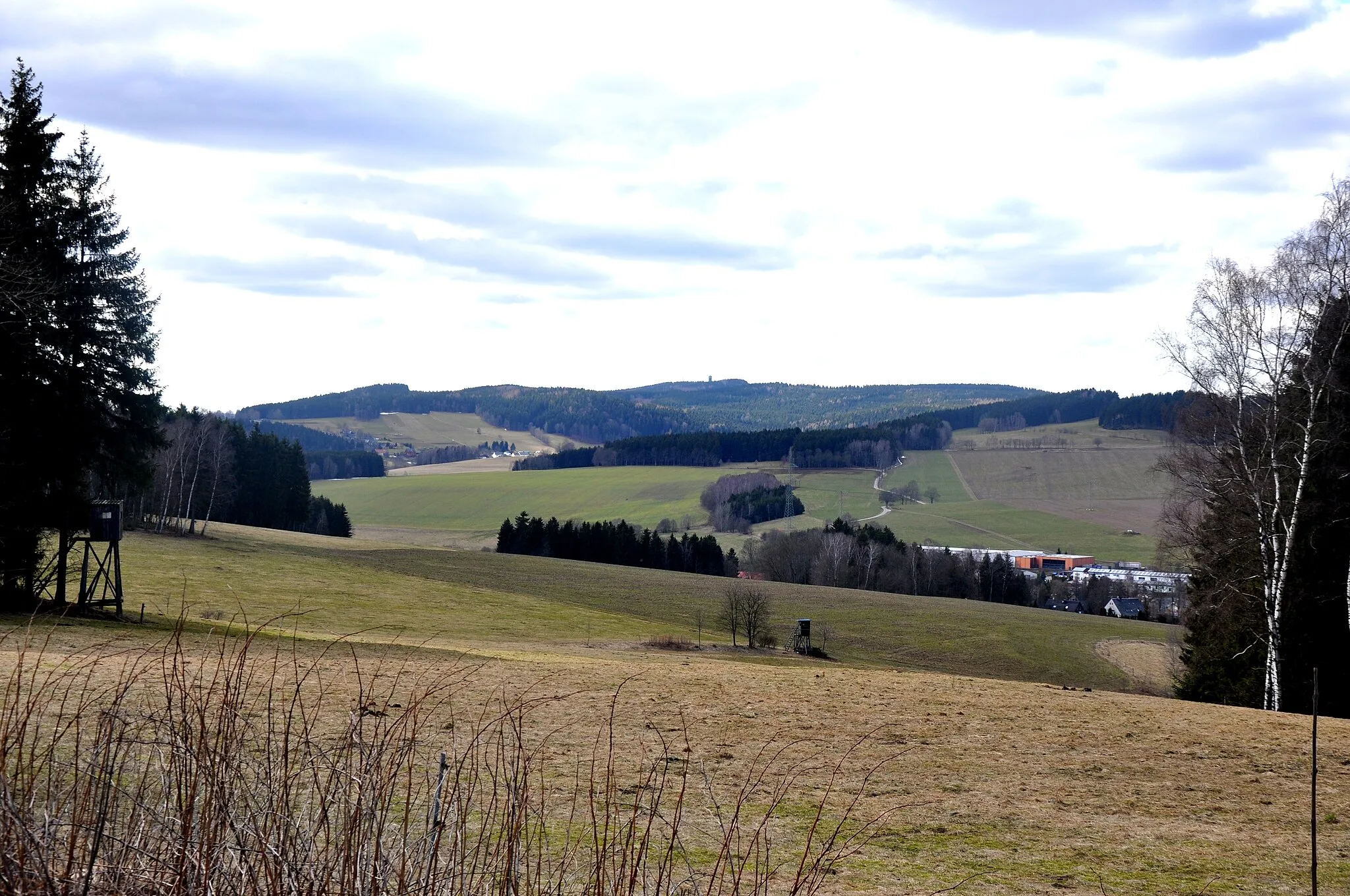 Photo showing: Spiegelwald view