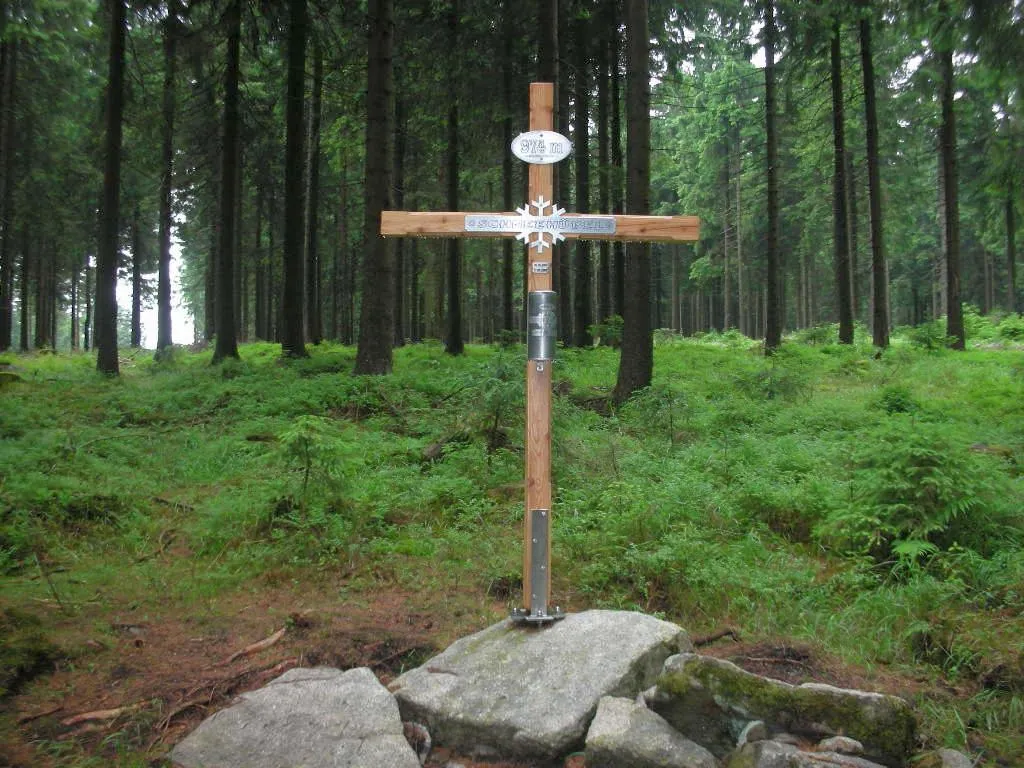 Photo showing: Gipfelkreuz auf dem Schneehübel bei Carlsfeld