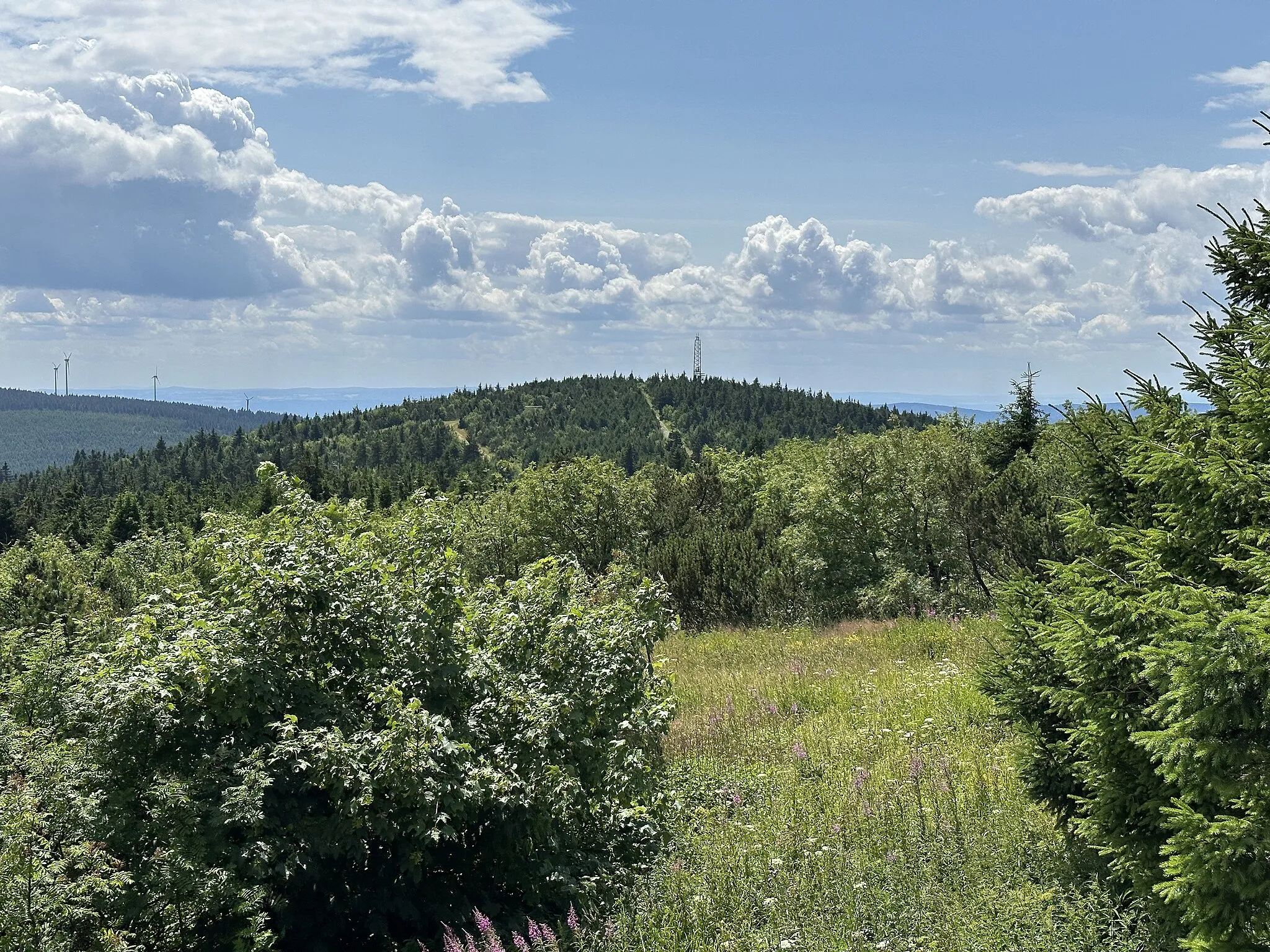 Photo showing: Kleine Fichtelberg in Oberwiesenthal, Höhe 1.206 m