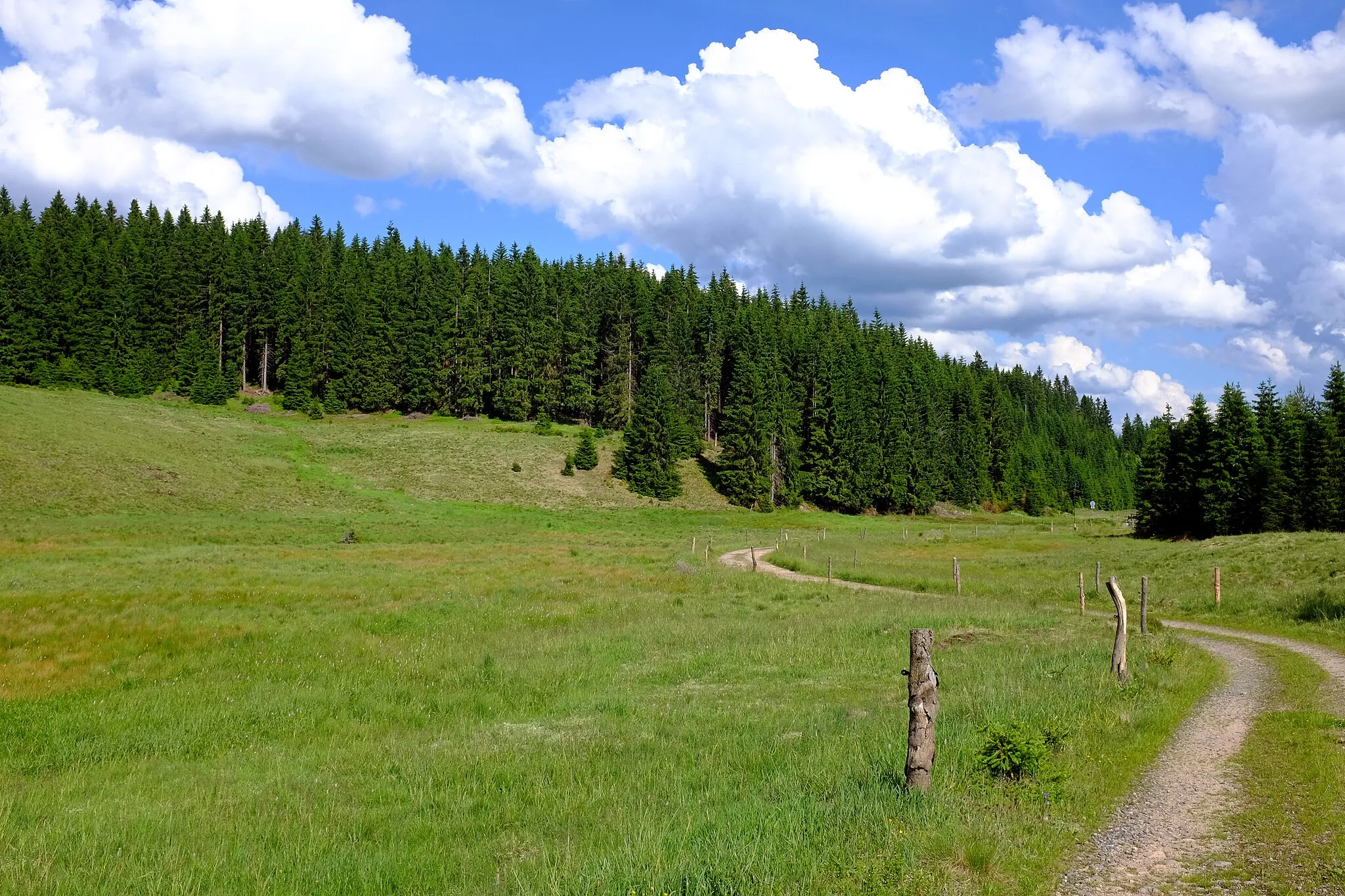 Photo showing: Jelení, osada Nových Hamrů, cesta směrem na Rolavská vrchoviště, Krušné hory, okres Karlovy vary