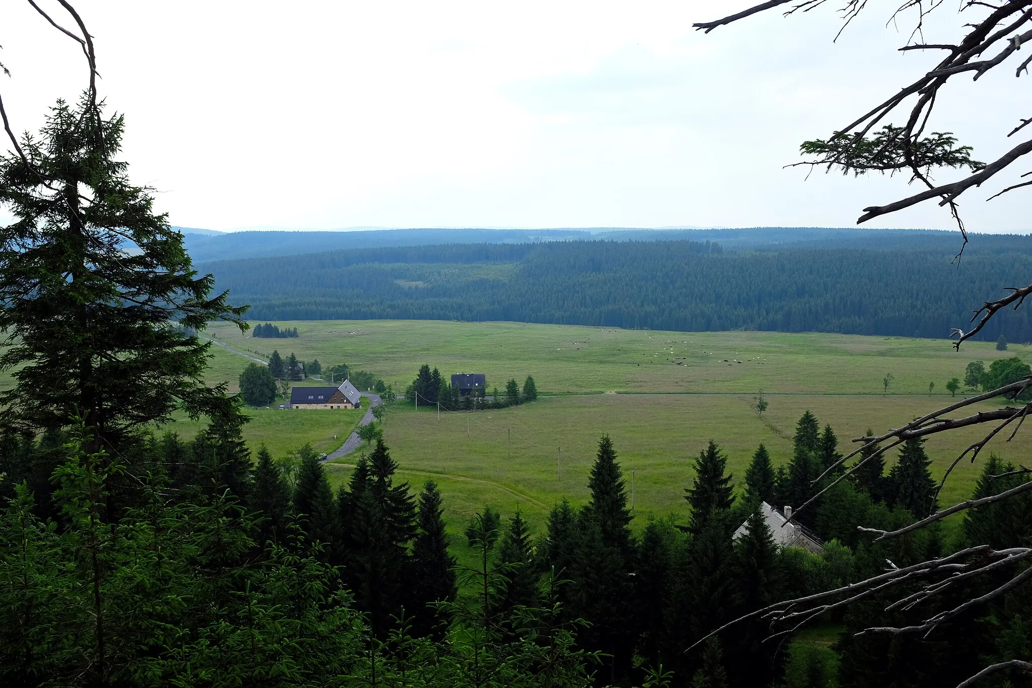 Photo showing: Vrch Nad Ryžovnou, hlavní vrchol (1054 m), vrcholová partie, pohled severním směrem, Krušné hory, okres Karlovy Vary