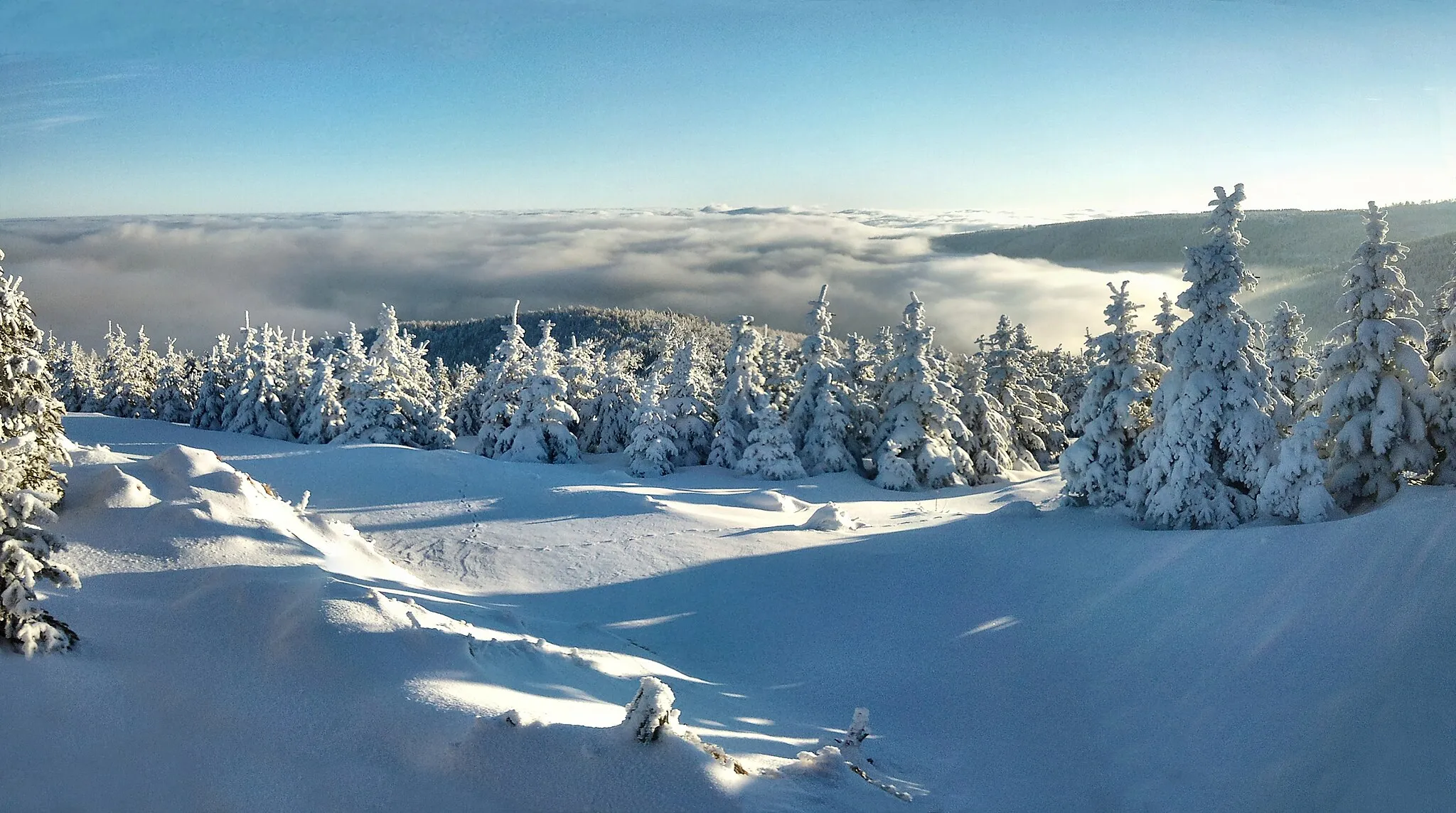 Photo showing: Ore Mountains: View from the mountain Vysoká seč to south