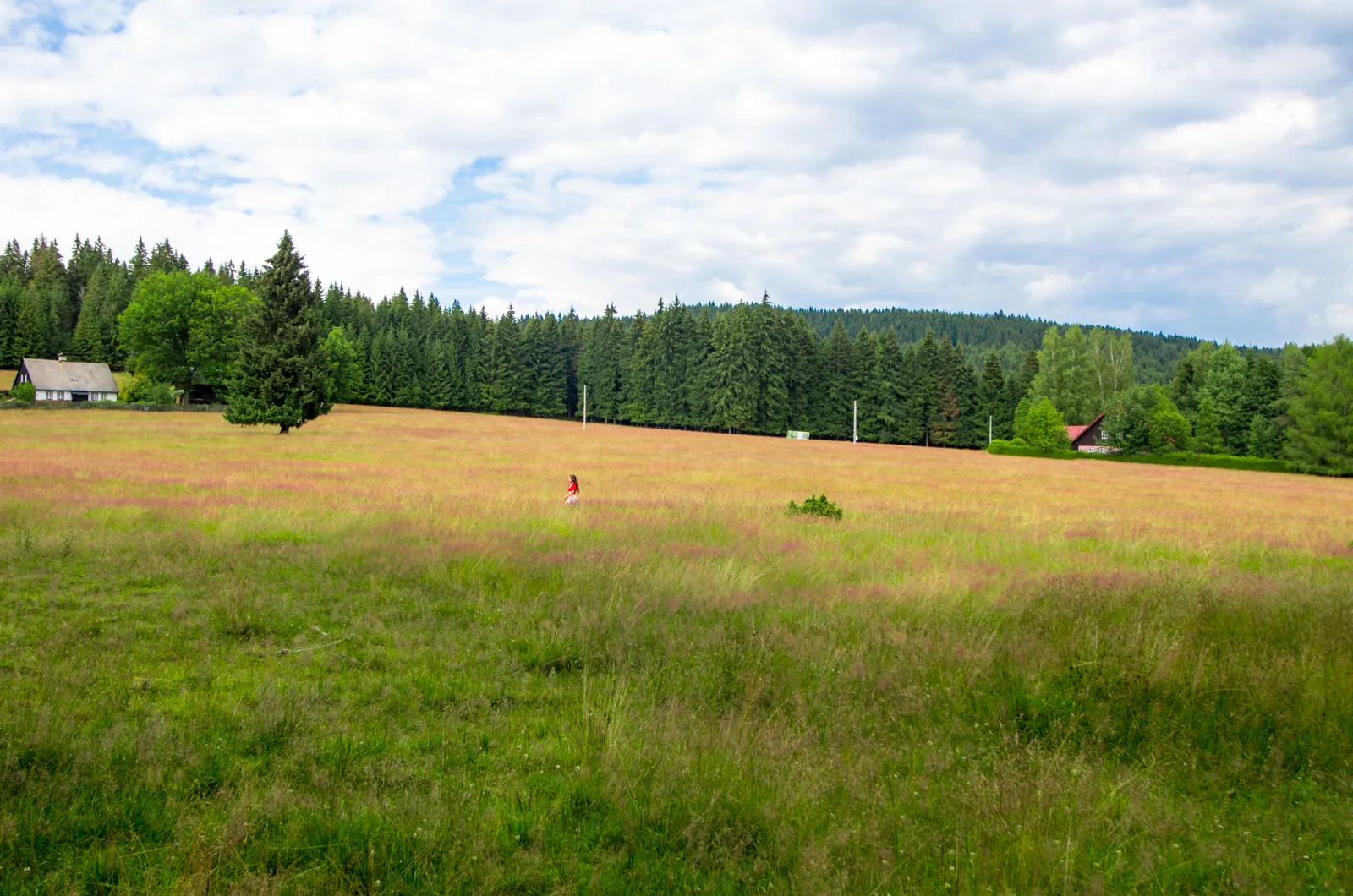 Photo showing: louka pod Dvorským vrchem (Hofbergem 839 m), místo, kde na odlesněné plošině vznikla v 16. století Soví huť, jedna z nejvýznačnějších skláren v Krušných horách, Nové Hamry, okres Karlovy Vary