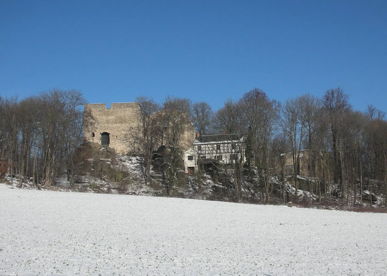 Photo showing: Burgsteinanlage im Vogtland