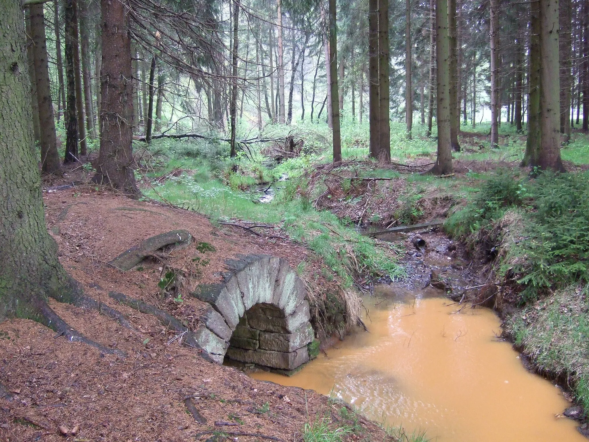 Photo showing: Trench of the drain of Thelersberger Stolln (Thelersberg Adit) flowing into a minor tributary of the Großen Striegis (Big Striegis) with visible ochre colouring due to washed out minerals