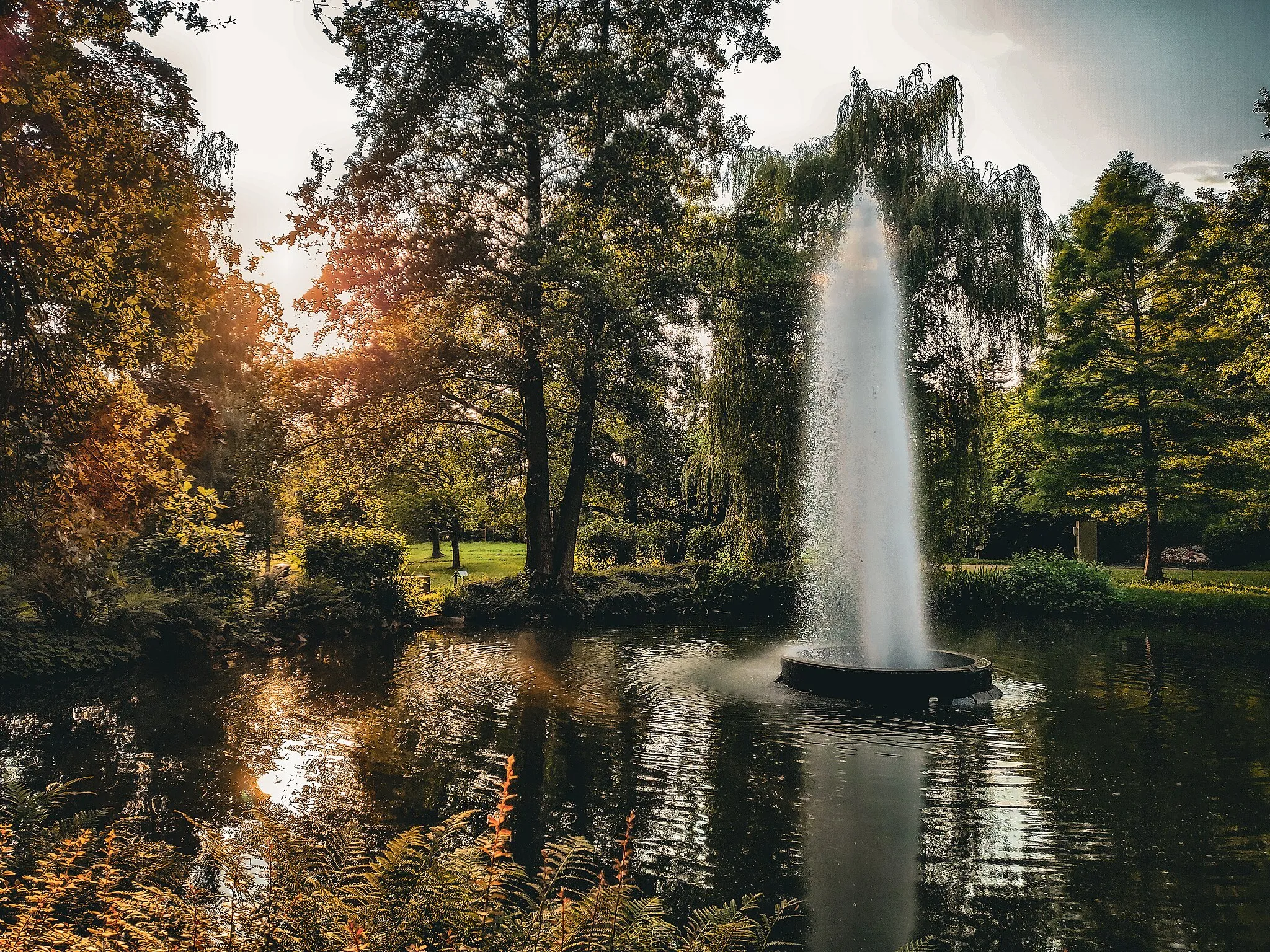 Photo showing: Fontänenspringbrunnen im Stadtpark Limbach-Oberfrohna