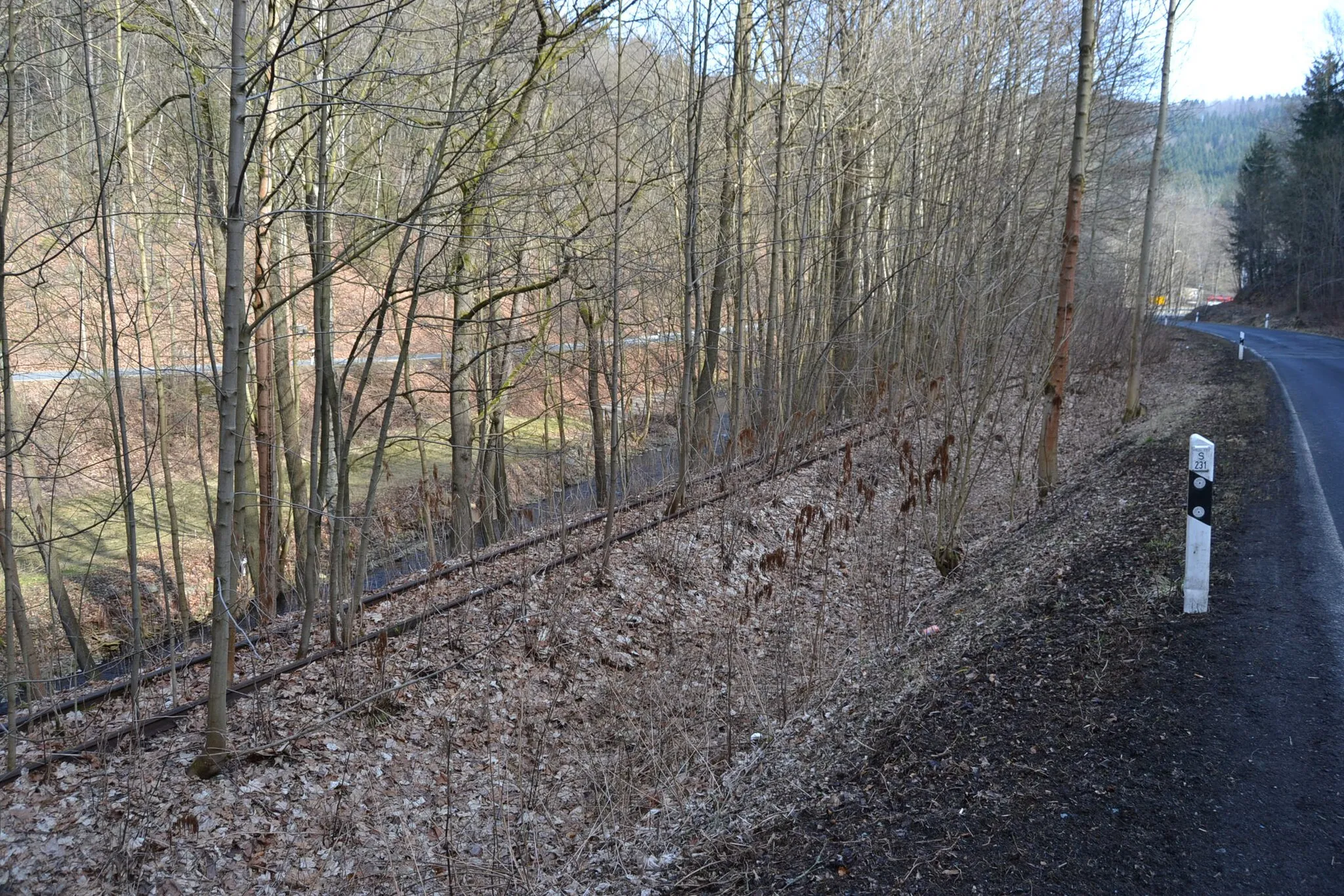 Photo showing: Zum Aufnahmezeitpunkt noch vorhandene Gleisanlagen der Schmalspurbahn Wilischthal–Thum hinter Bahnübergang Gelenauer Straße in Wilischthal. Blick Richtung Wilischthal.