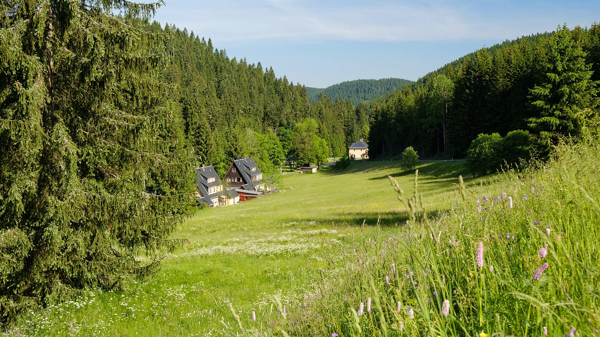 Photo showing: Blick nach Oberwildenthal im Erzgebirge, Aufnahme von oberhalb des Ortsteils.