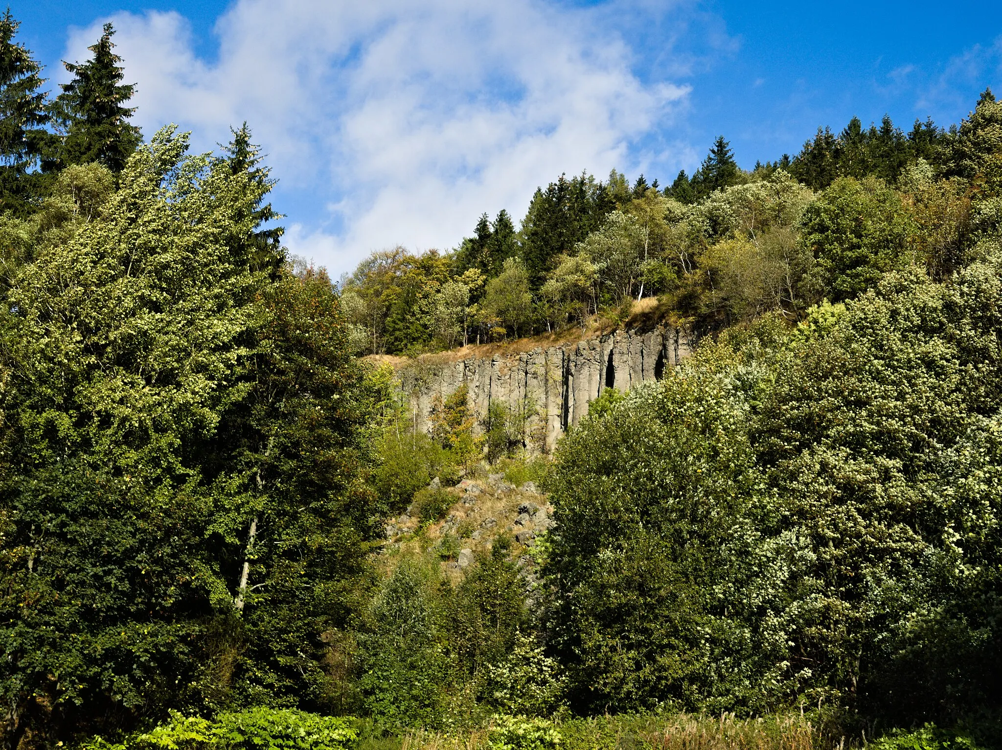 Photo showing: Butterfässer, Basaltsäulen am Pöhlberg, Annaberg-Buchholz (Sachsen)
50.573292, 13.028526