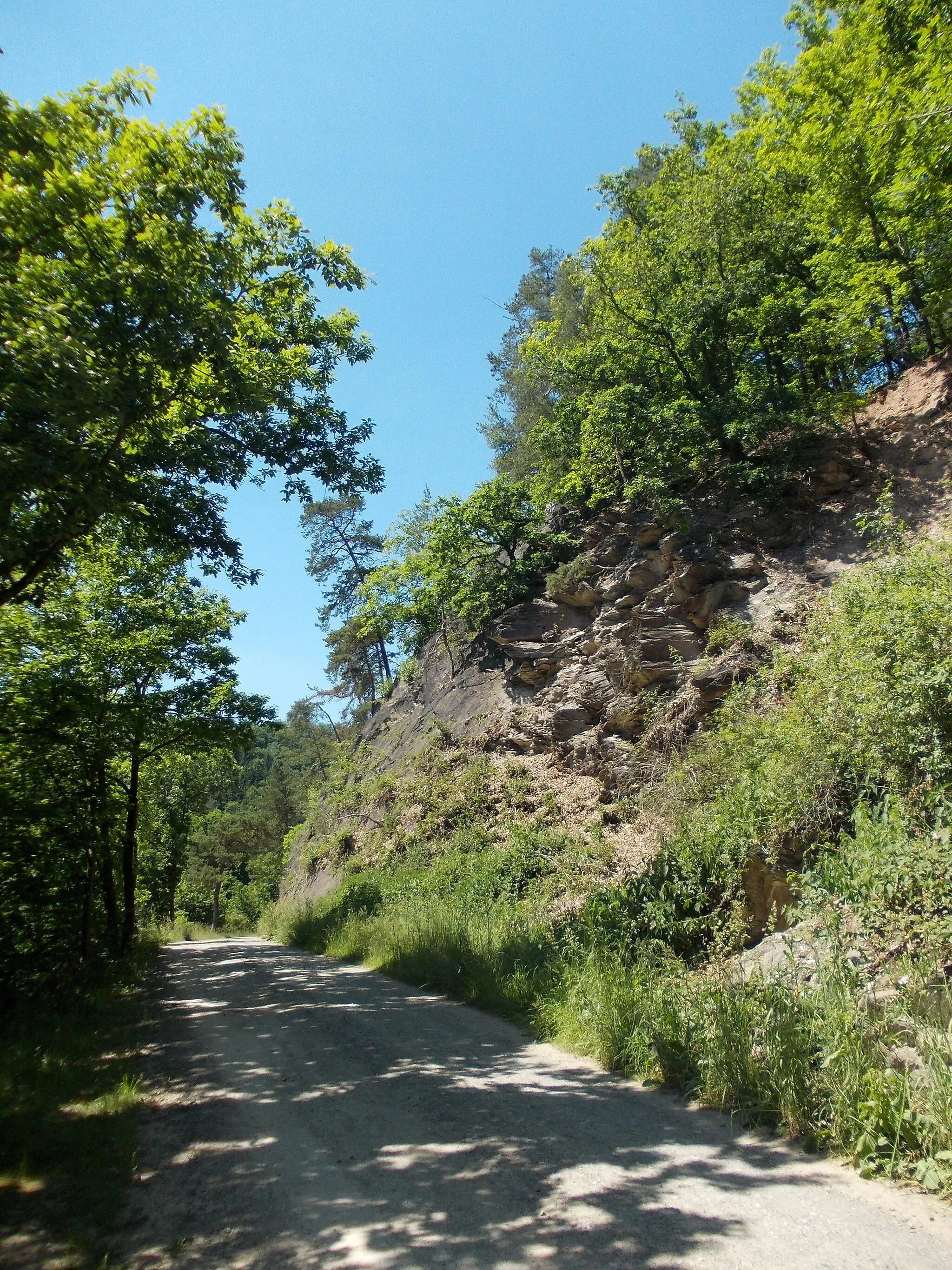 Photo showing: In the valley of the Weisse Elster near Berga (Greiz district, Thuringia)