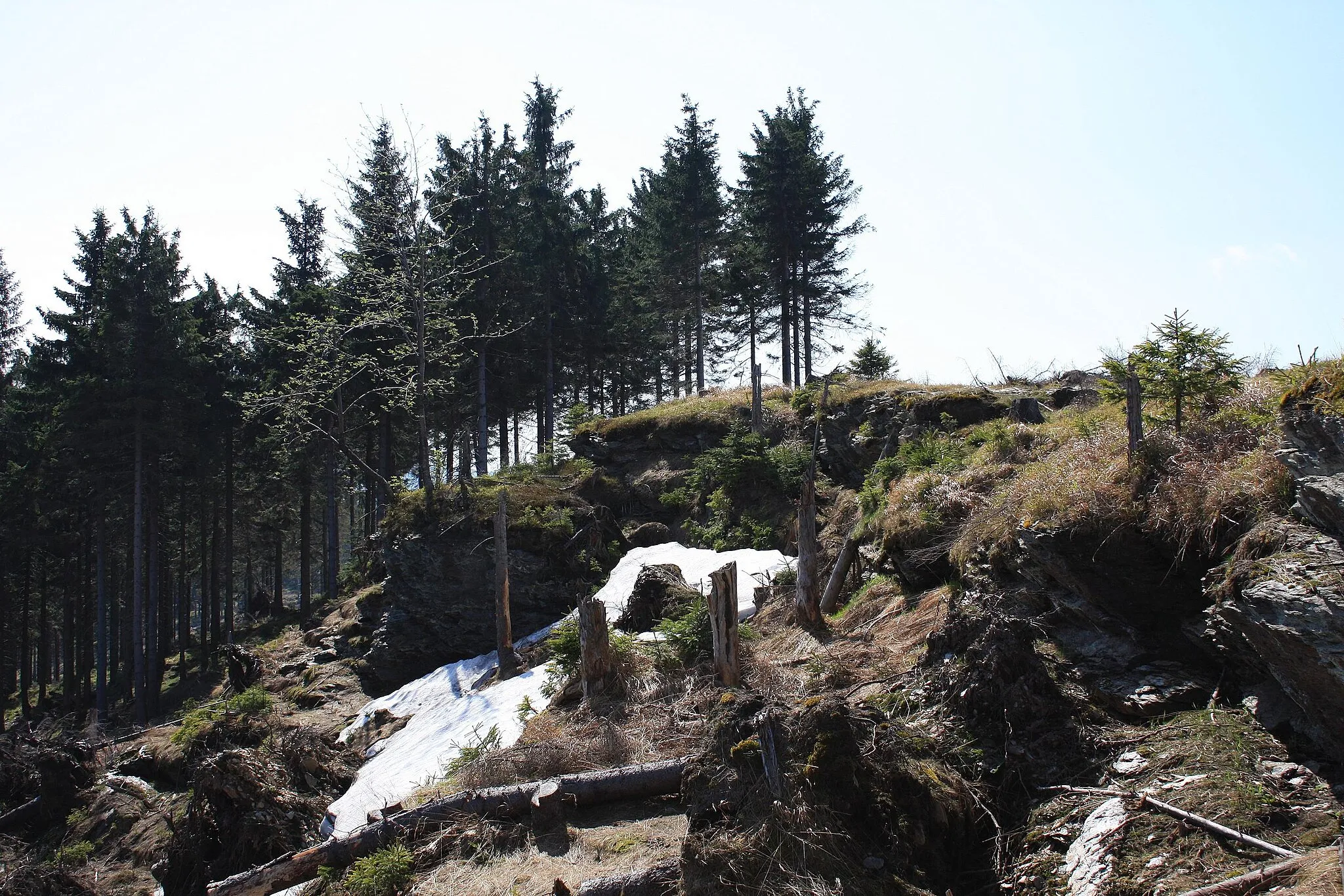 Photo showing: Top of Taufichtig Mountain, Ore Mountains