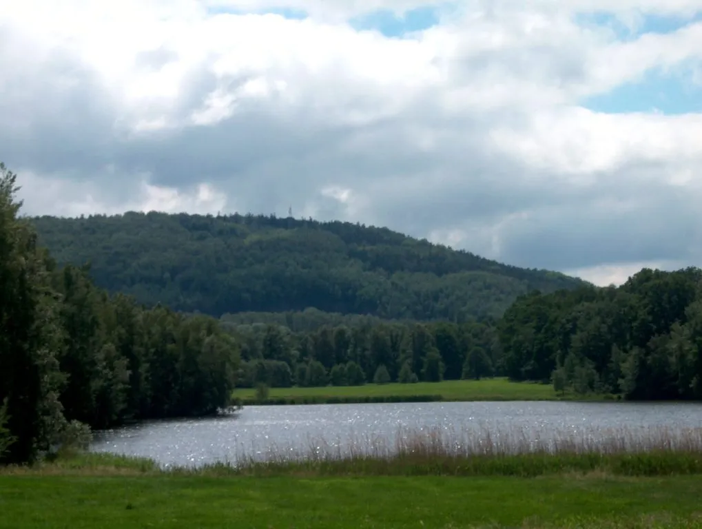 Photo showing: View to Mount Klosterberg from Rothnaußlitz