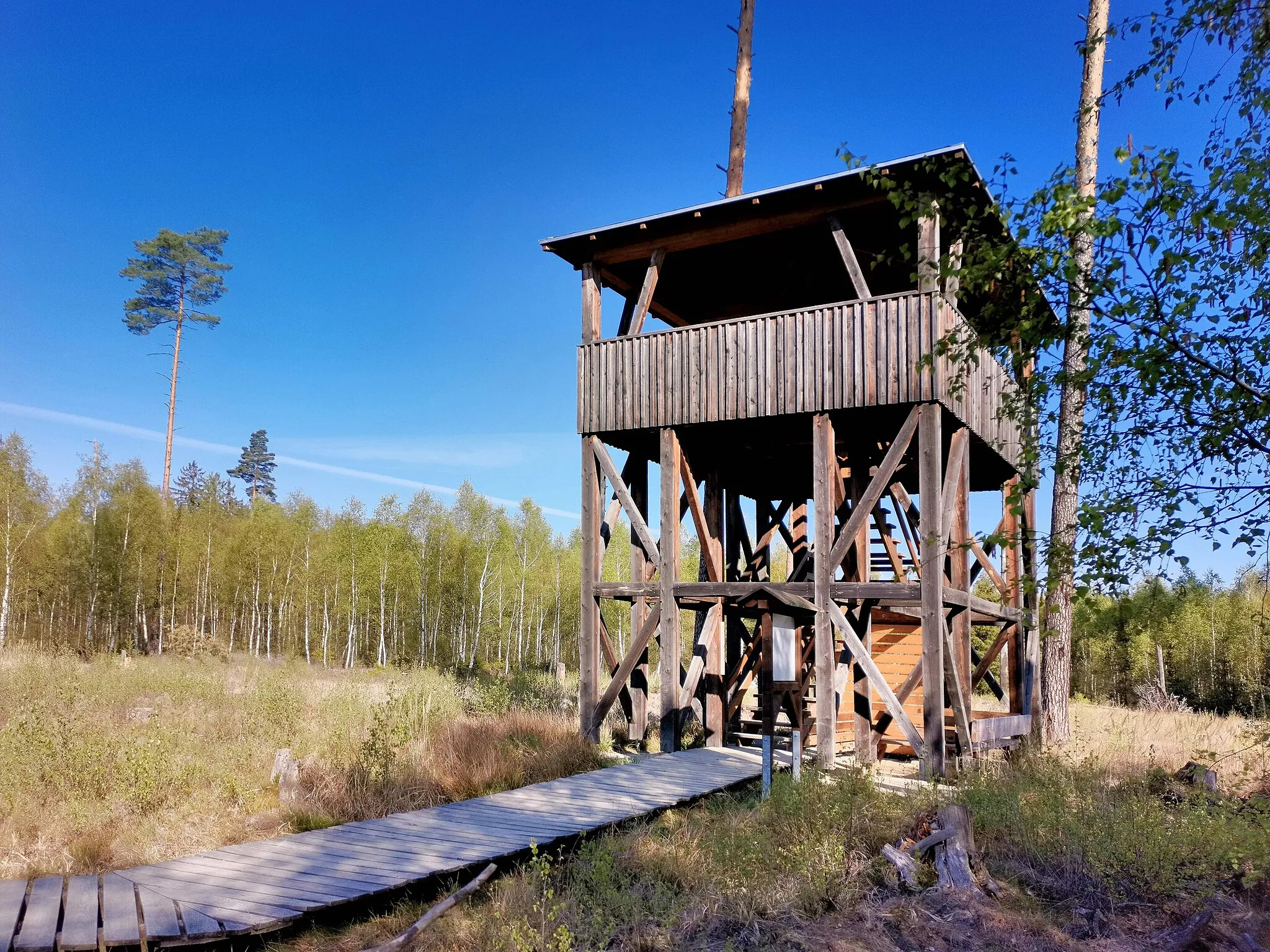 Photo showing: Wooden tower lookout point Moorerlebnispfad in the Pöllwitzer-Wald.