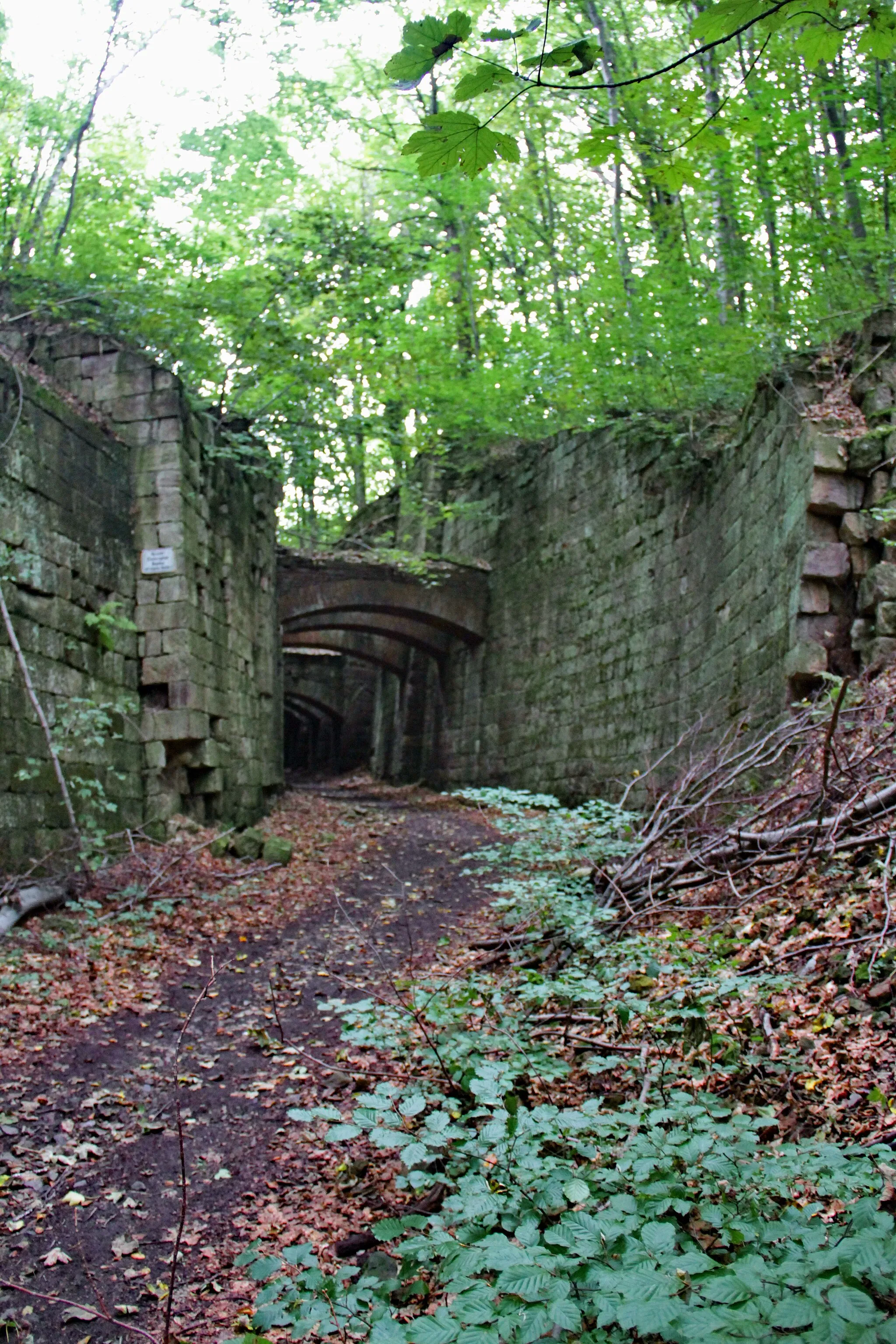 Photo showing: Im Zeisigwald in Chemnitz