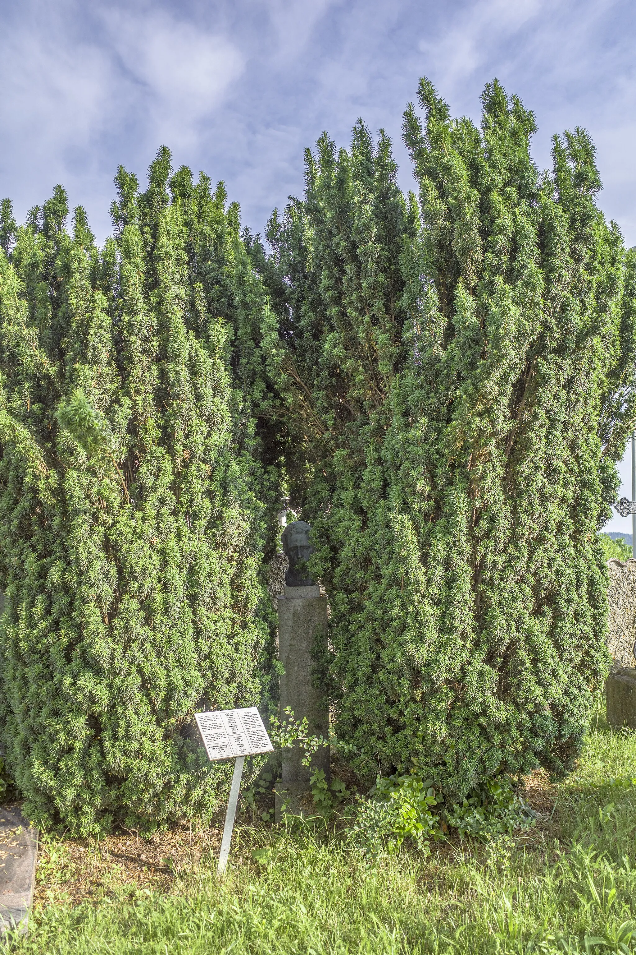 Photo showing: Grabdenkmal mit Bronzebüste von Richard Scheibe, Porträt seines Schülers Richard Martin Werner, gegossen bei Noack (Berlin), aufgestellt um 1950, erste Ausführung in Sandstein für das Kriegerdenkmal in der Oranierkirche Wiesbaden-Biebrich, 1931