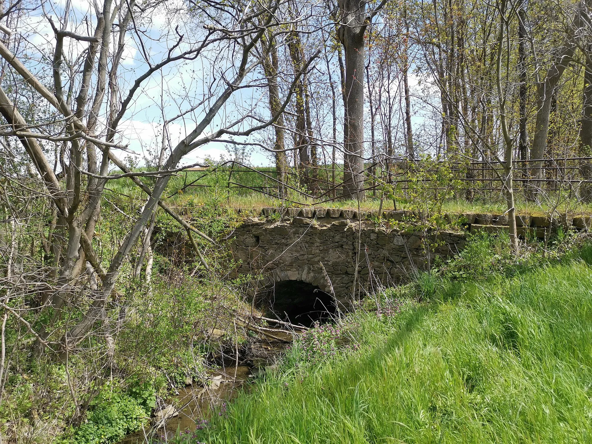 Photo showing: Denkmalgeschützte Brücke über das Schänitzer Wasser beim Lindigt-Gut