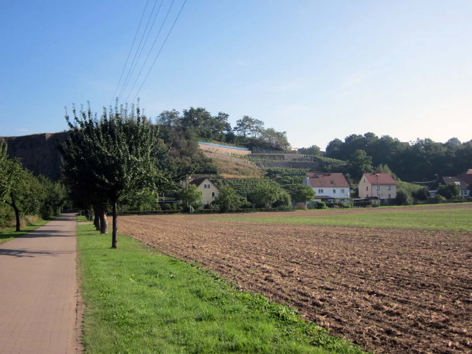 Photo showing: Elbe landscape with vineyards behind the houses. Kleinzadel. Sachsen, Germany.