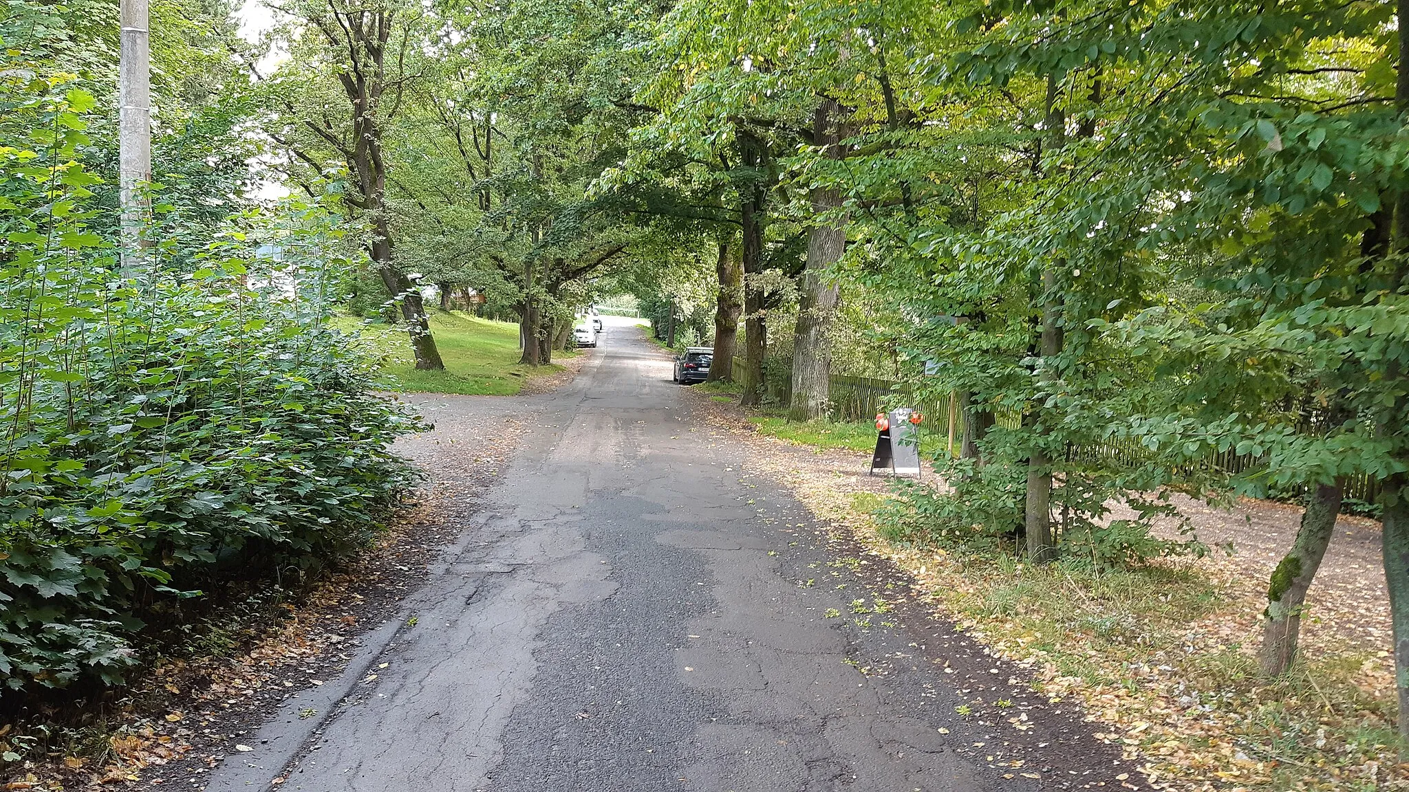 Photo showing: Blick ostwärts entlang der Thomas-Müntzer-Höhe, Höhe Am Stausee (links), Richtung Oberfrohnaer Straße, Chemnitz-Rabenstein.