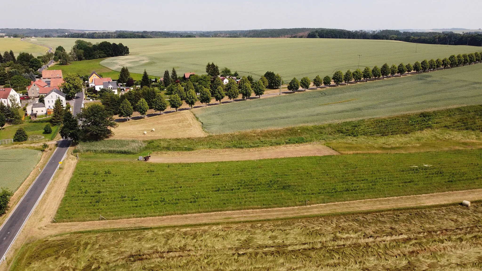 Photo showing: Flächennaturdenkmal (FND) Nr. 141 Teichkette Arnsdorf im Landkreis Mittelsachsen