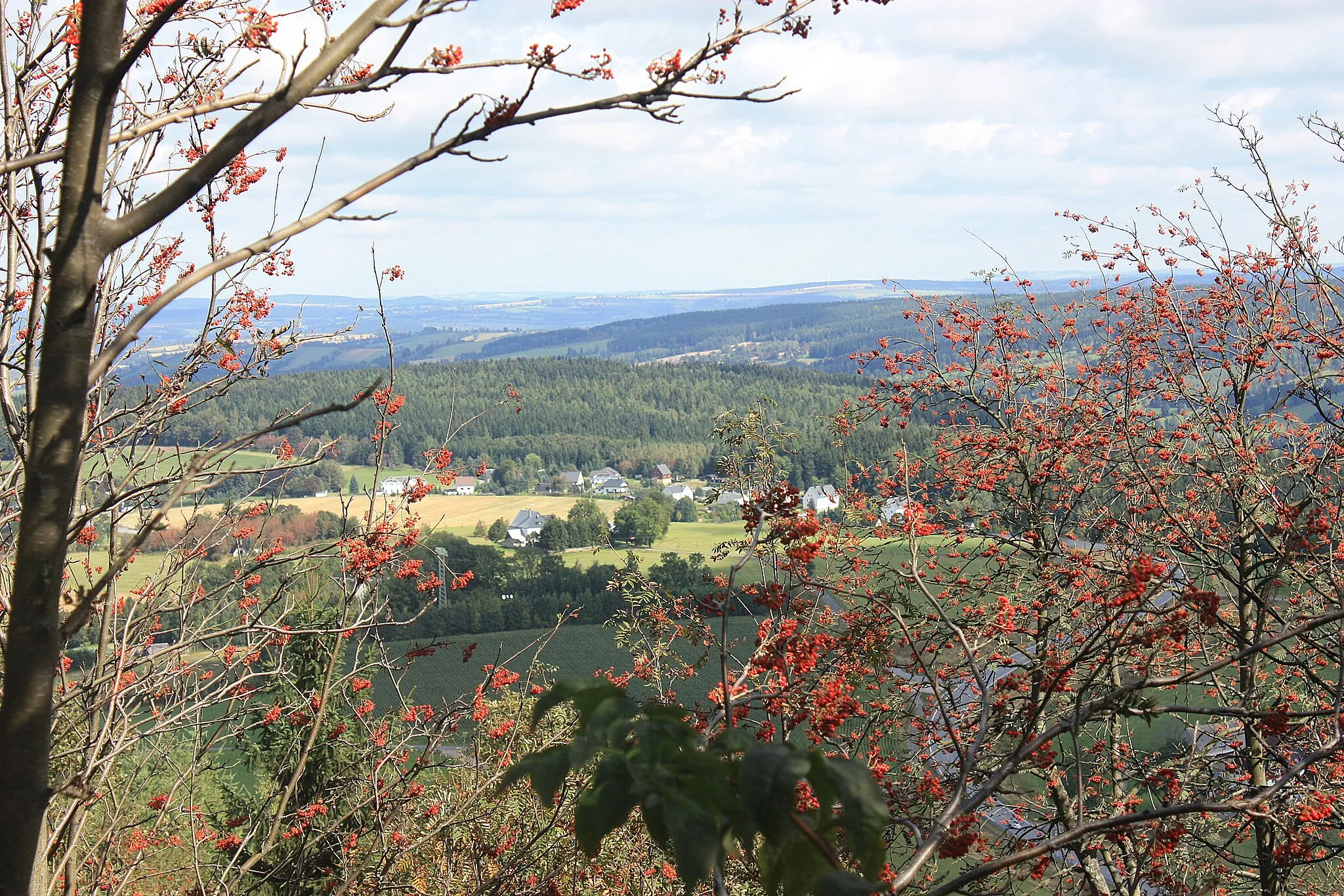 Photo showing: Bärenstein, view from Bärenstein to northeast, (Kühberg)
