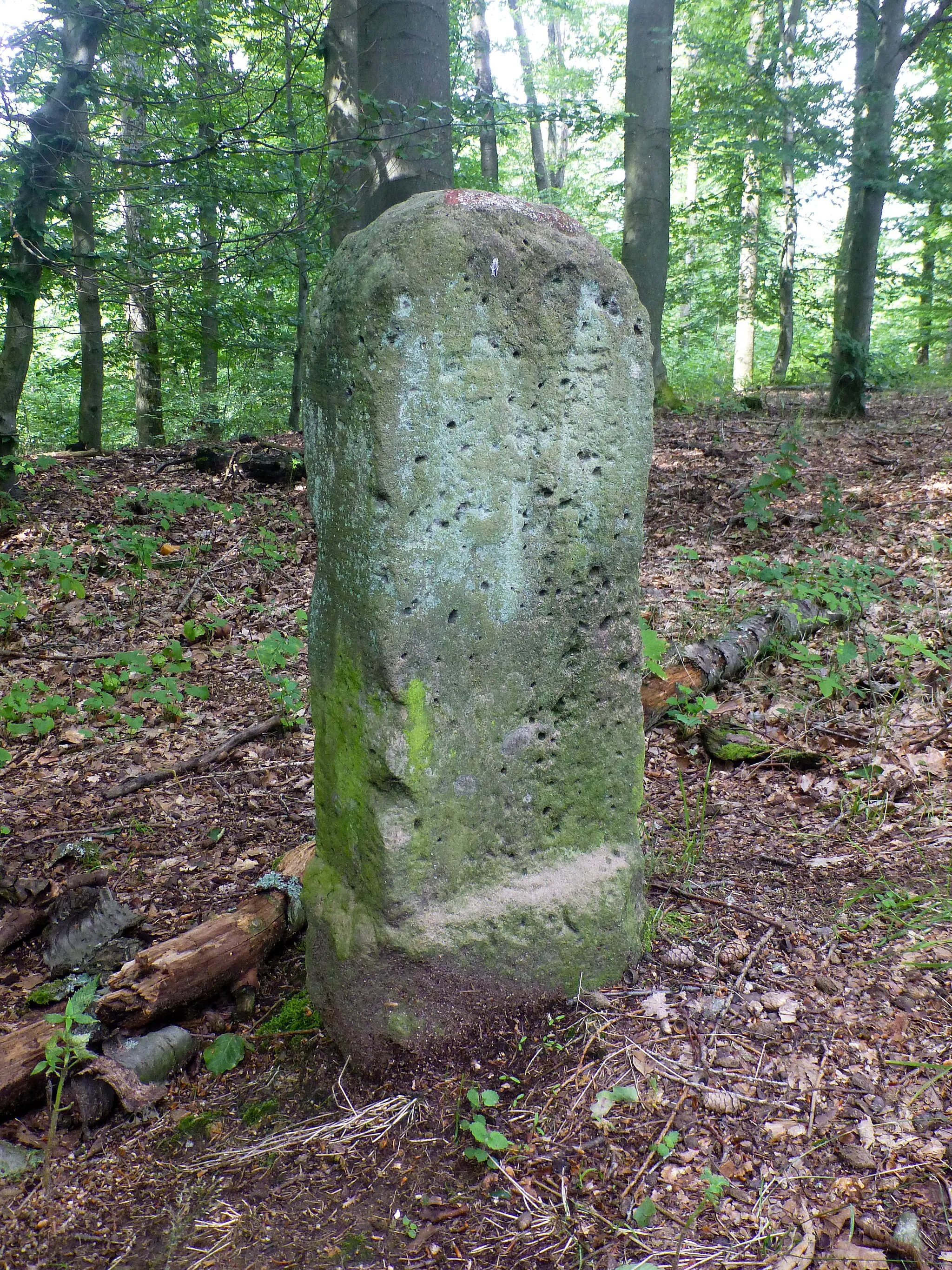 Photo showing: Grenzstein am Wittelsbacher Grenzweg östlich der Reisacker-Schutzhütte