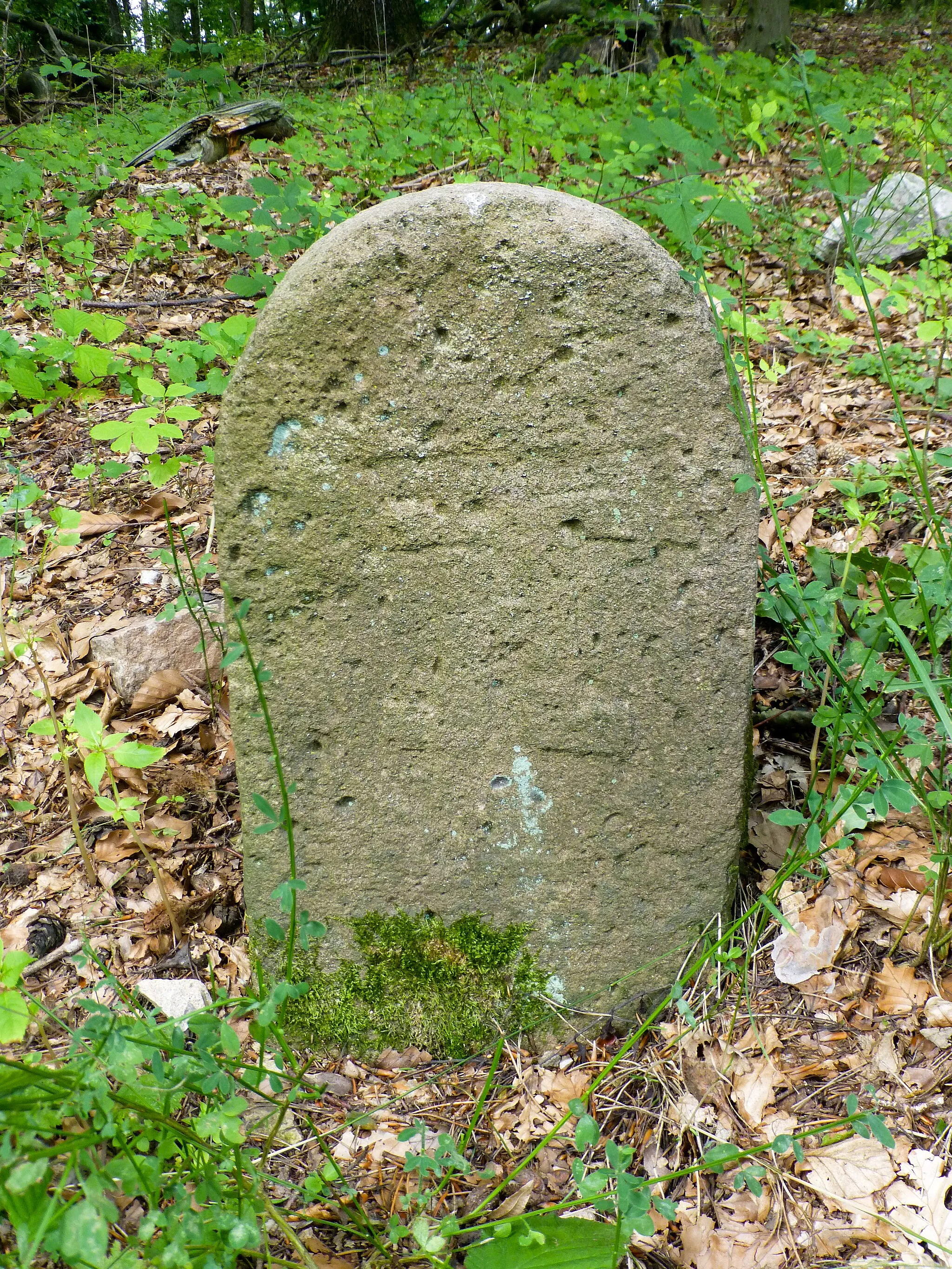 Photo showing: Grenzstein am Wittelsbacher Grenzweg östlich der Reisacker-Schutzhütte