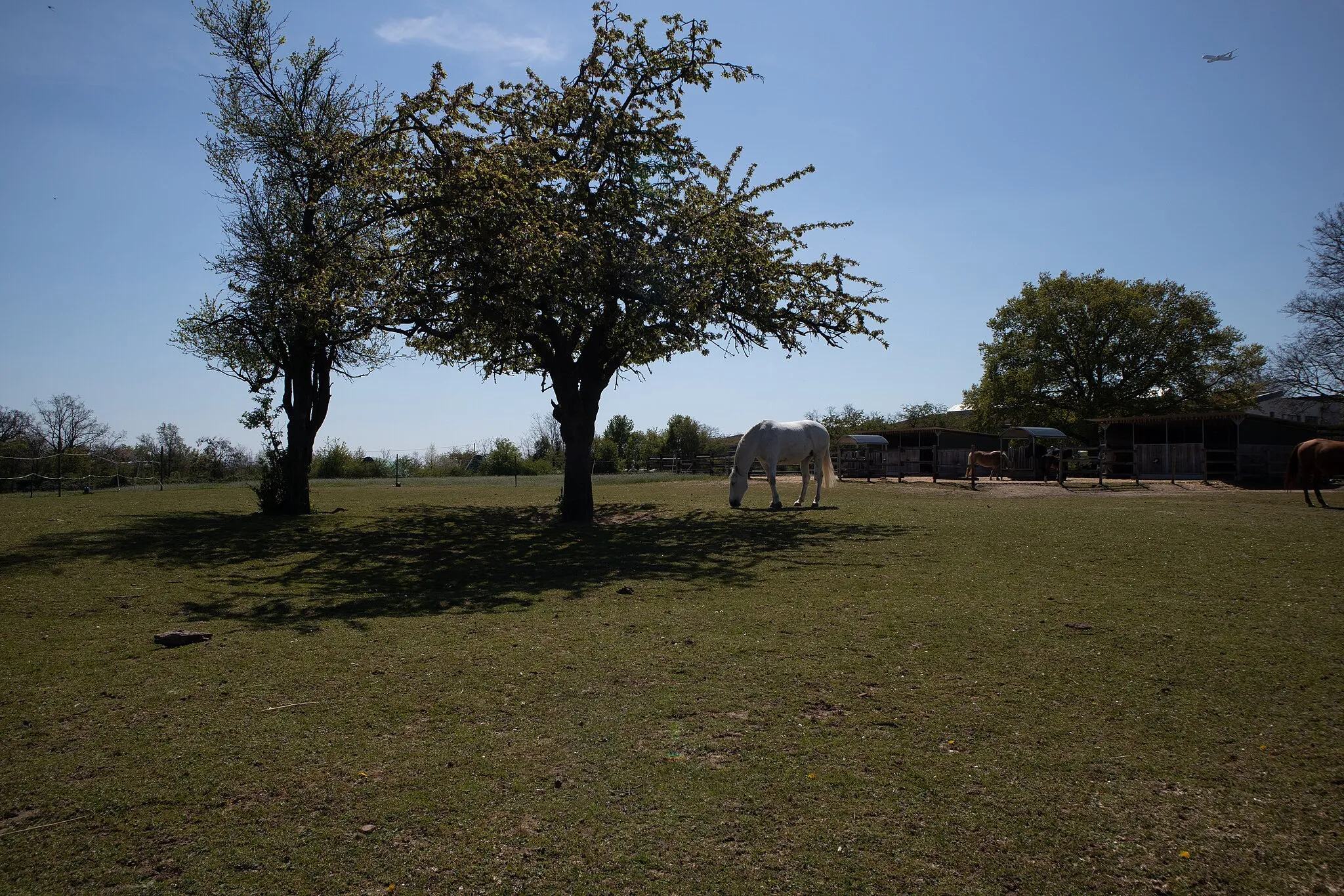 Photo showing: Falkenberg und Geißberg bei Flörsheim