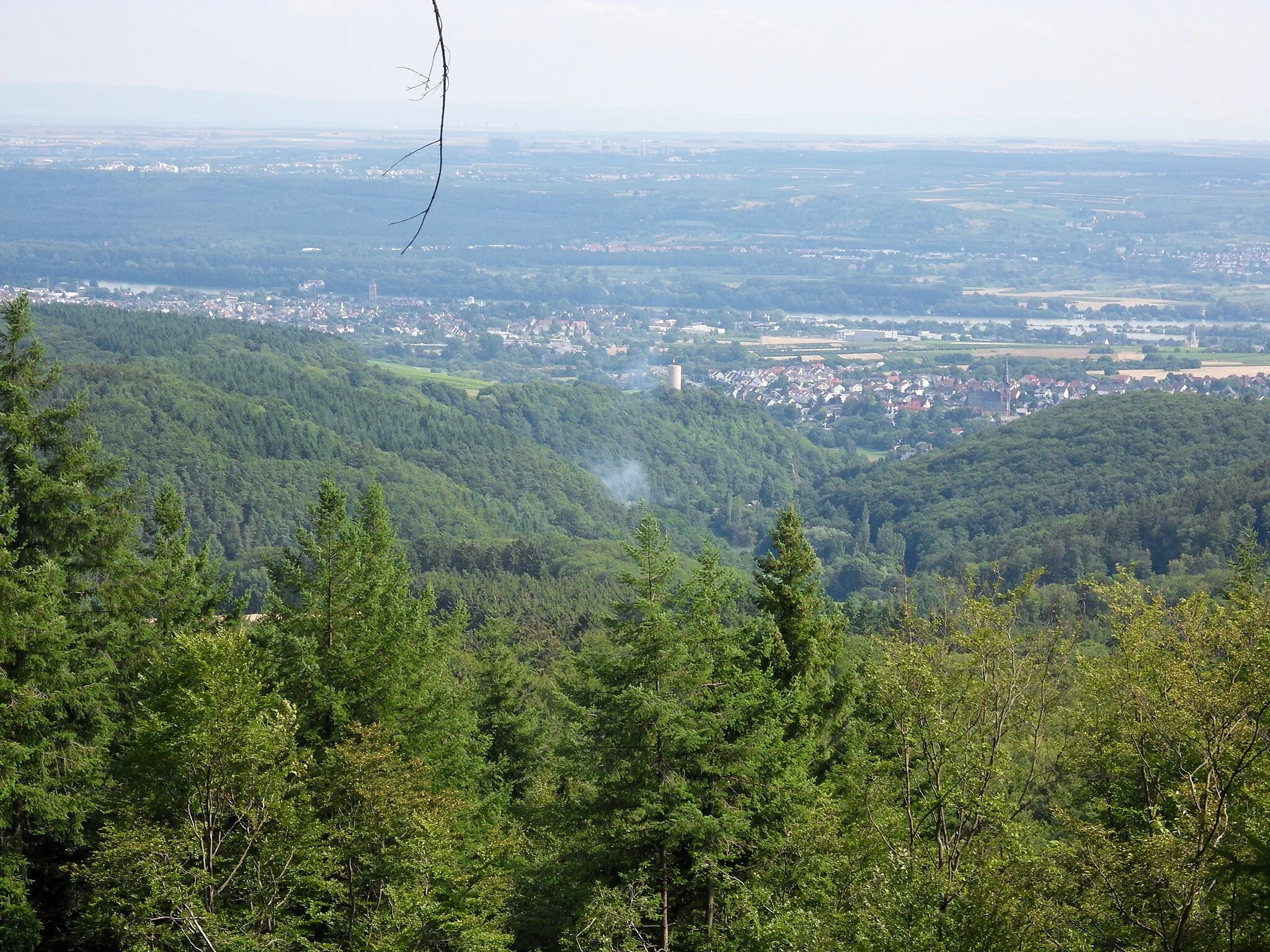 Photo showing: Aussicht vom „Hedwig-Witte Blick“ (ca. 460 m) an einem Ausläufer des Heidekopfs im Kiedricher Gemeindewald auf Kiedrich und Eltville. Im Tal nahe der Kiedricher Waldmühle steigt aus unbekanntem Anlass eine Rauchwolke nach oben.