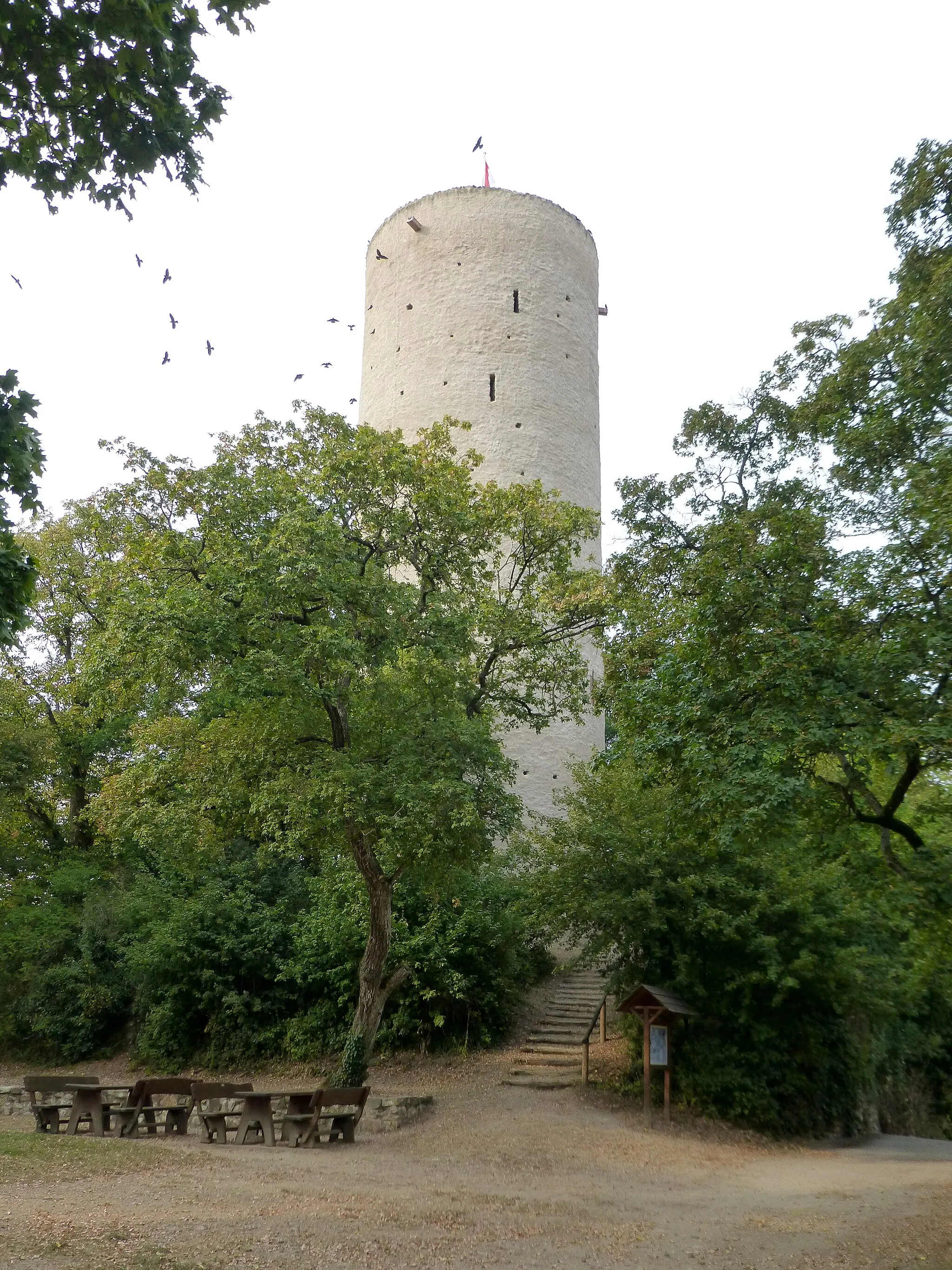 Photo showing: Bergfried der Burg Scharfenstein in Kiedrich mit einem Schwarm von Dohlen, die in Mauernischen des Bergfrieds nisten