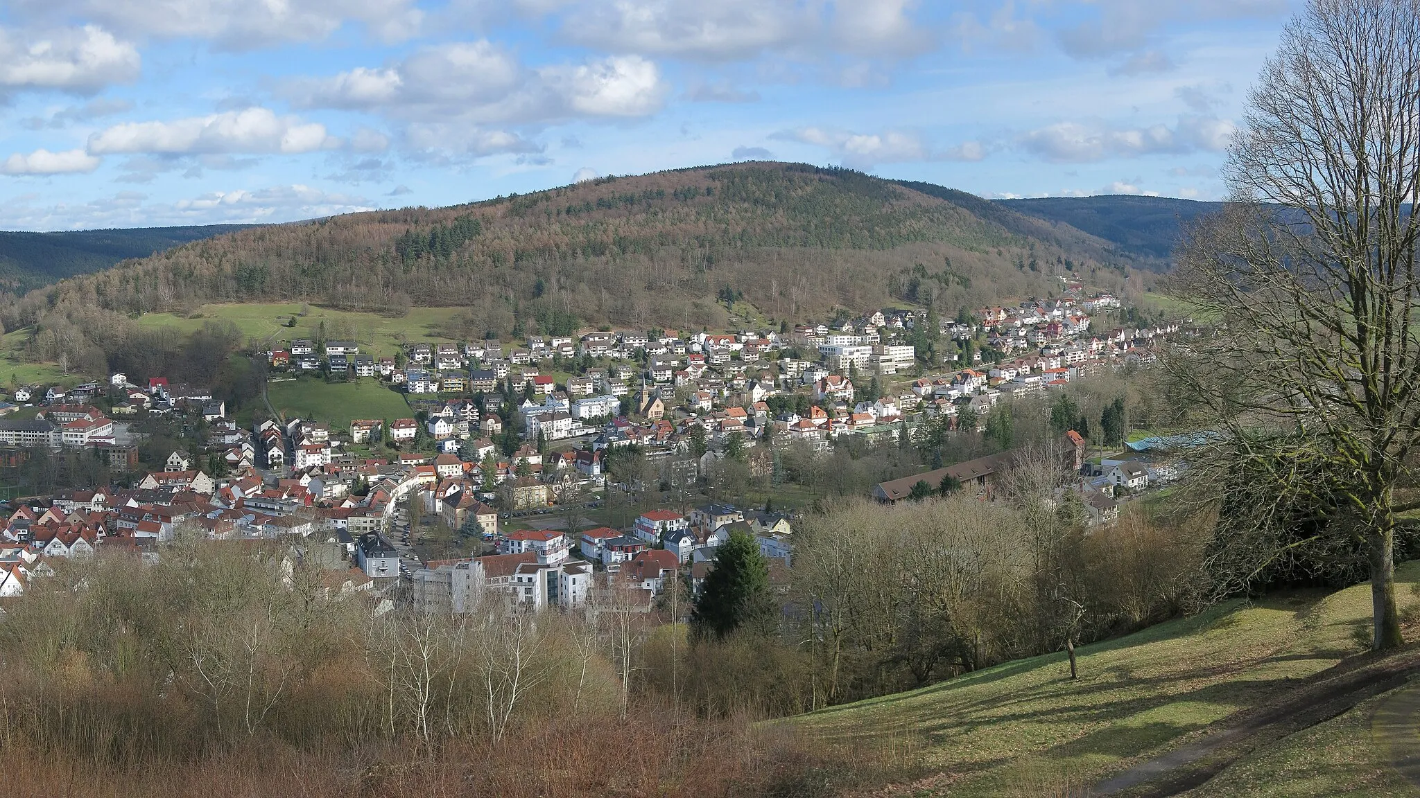 Photo showing: View from the watchtower on the Molkenberg over Bad Orb to the Wintersberg