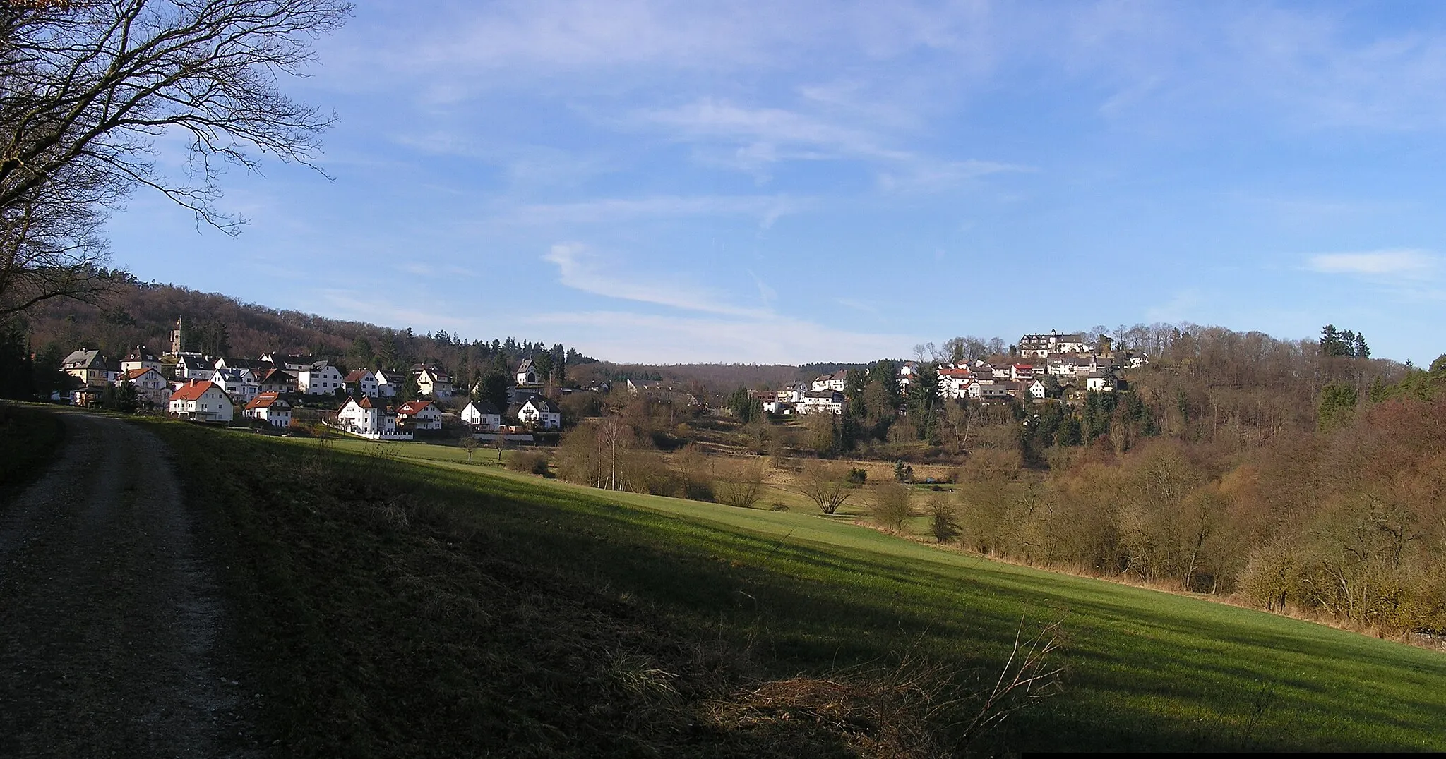 Photo showing: View over Weilrod-Neuweilnau