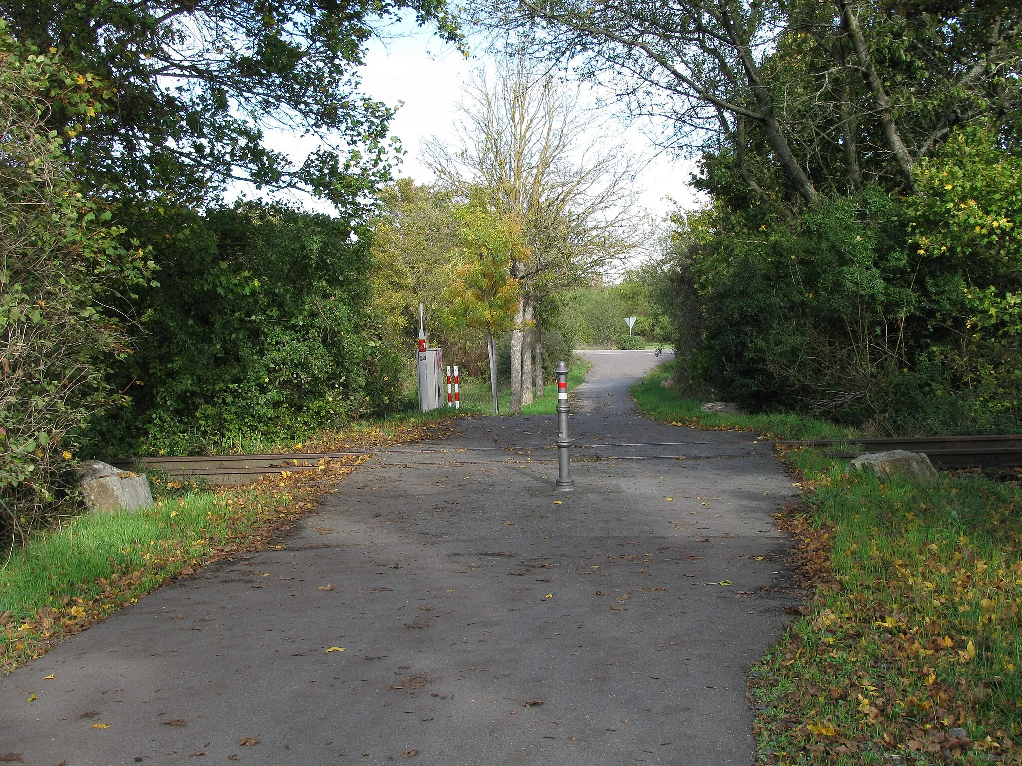 Photo showing: Bahnübergang vom nördlichen Main-Radwegs über die stillgelegte Anschlussbahn für das Okrifteler Industriegebiet