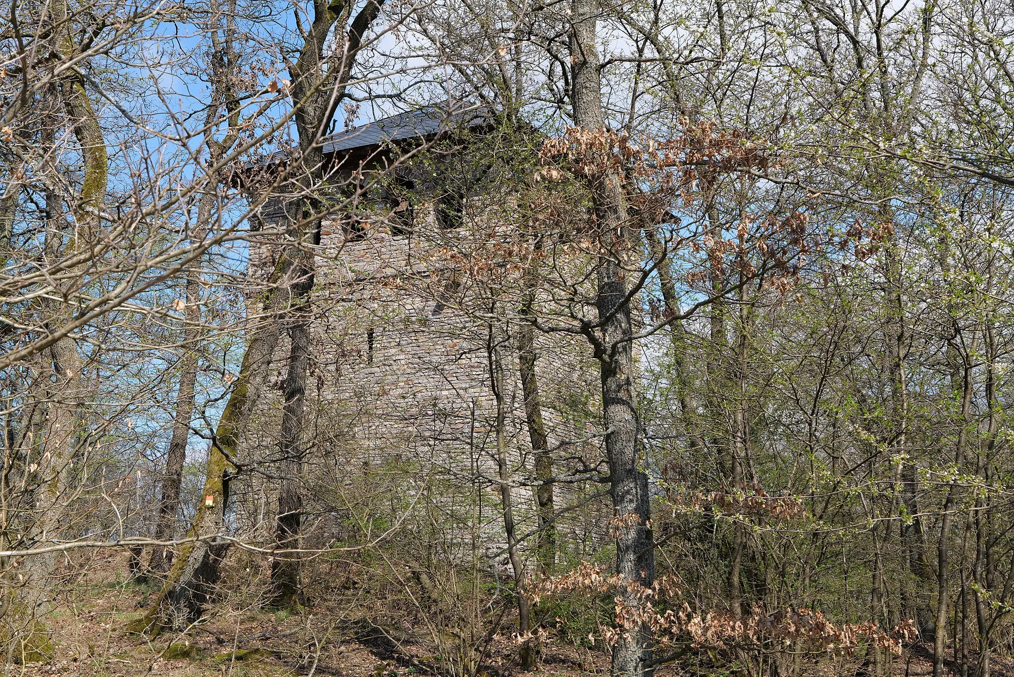 Photo showing: Gaulskopf im Taunus am 2. April 2021.