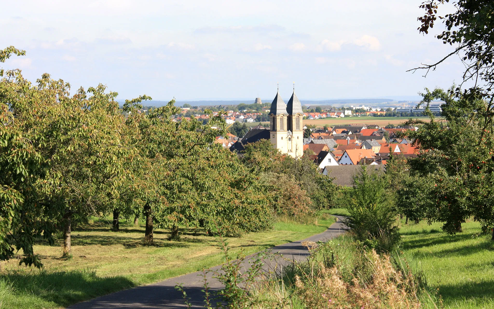Photo showing: Friedberg-Ockstadt von Westen