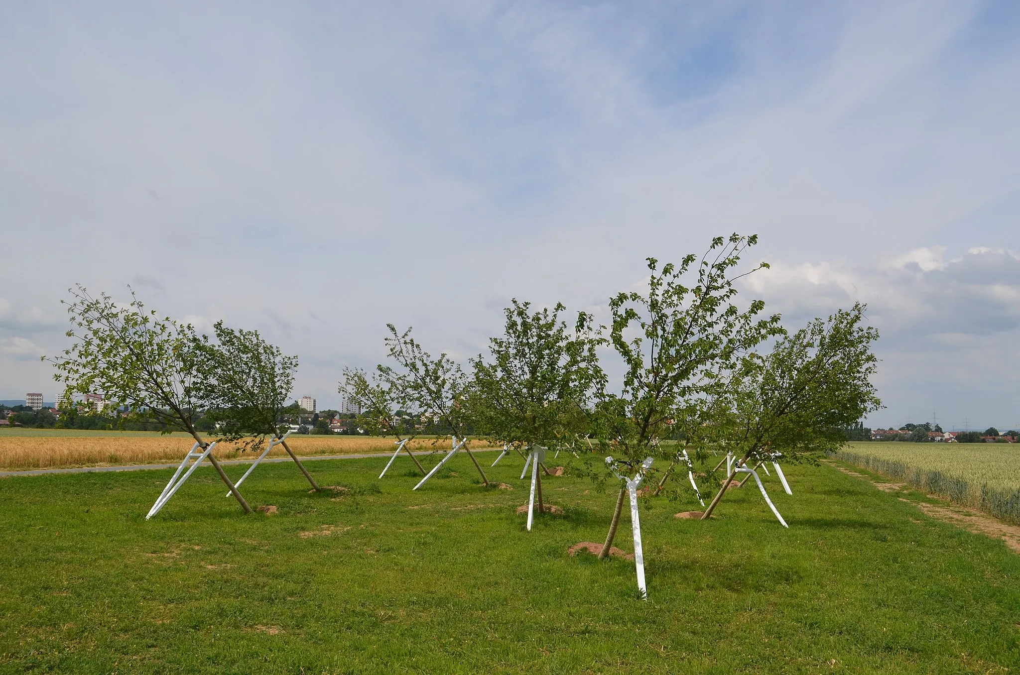 Photo showing: "Schiefer Wald" zwischen Steinbach und Eschborn. Das Kunstwerk von Ulrich Genth und Heike Mutter soll an die Schlacht bei Eschborn erinnern.