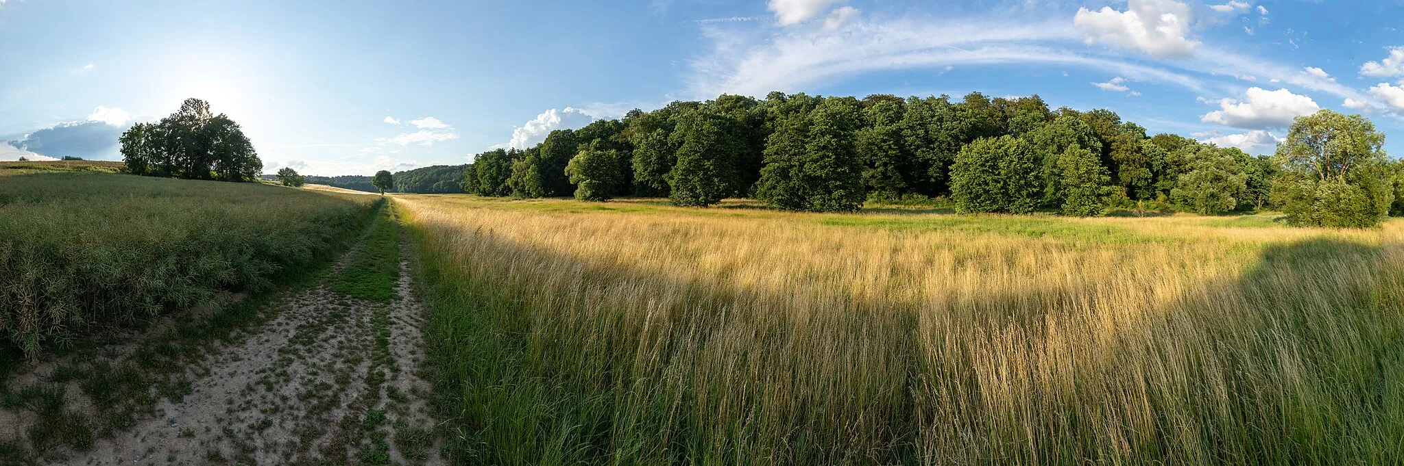 Photo showing: Das Wickerbachtal bei Kloppenheim