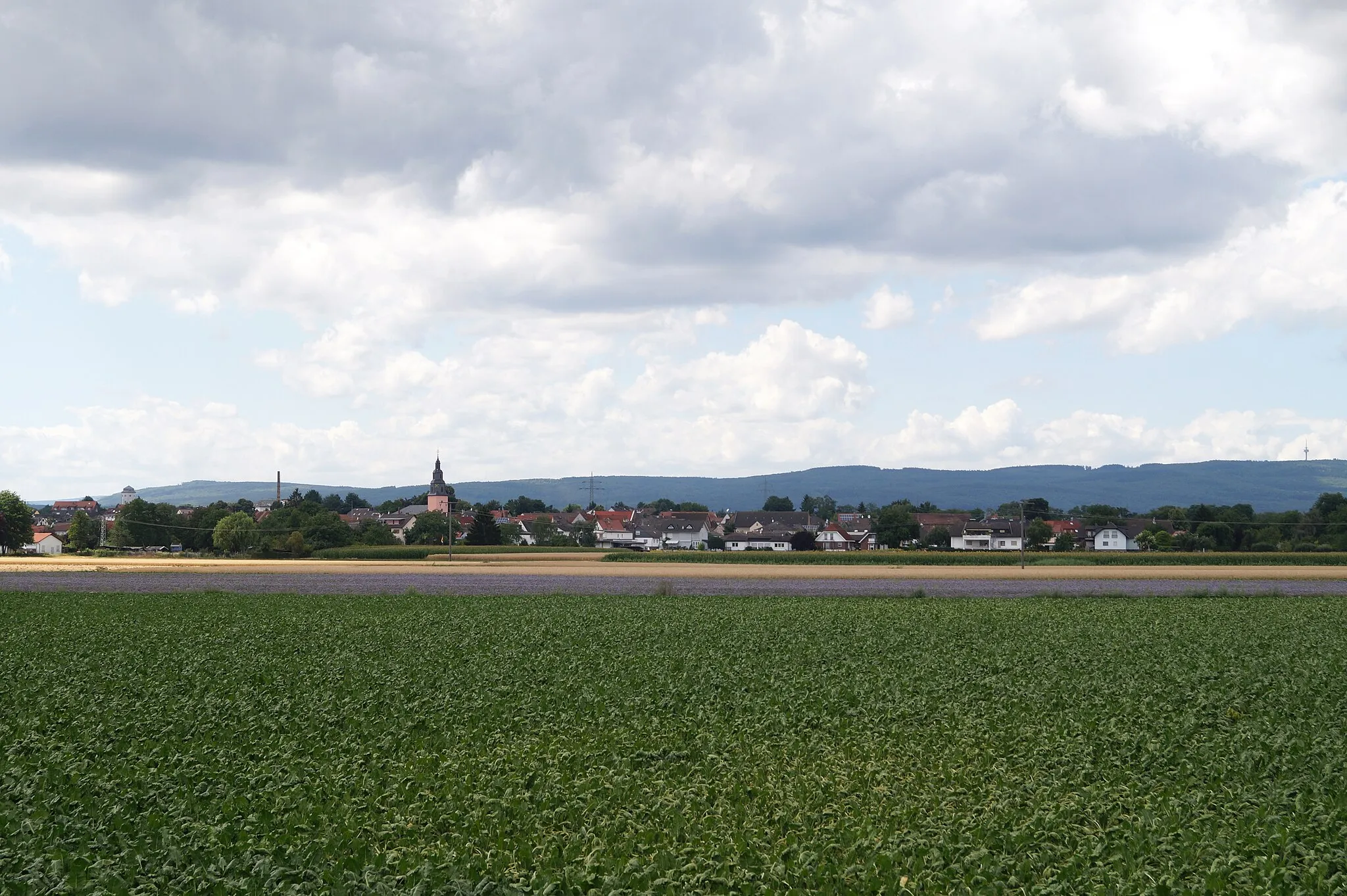 Photo showing: Blick auf Nieder-Wöllstadt von SW.