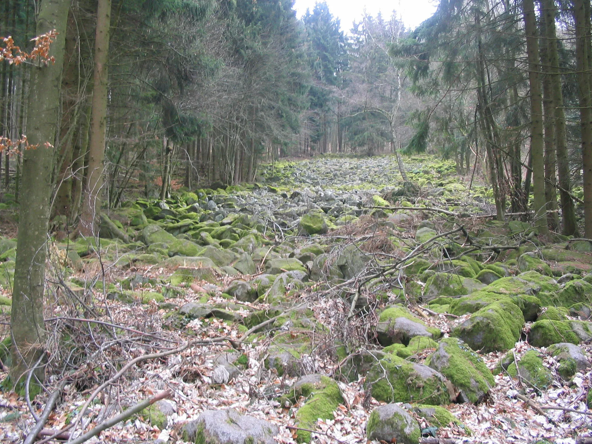 Photo showing: Kleines Flasergranitoid-Felsenmeer am Rimdidim-Westhang bei Steinau